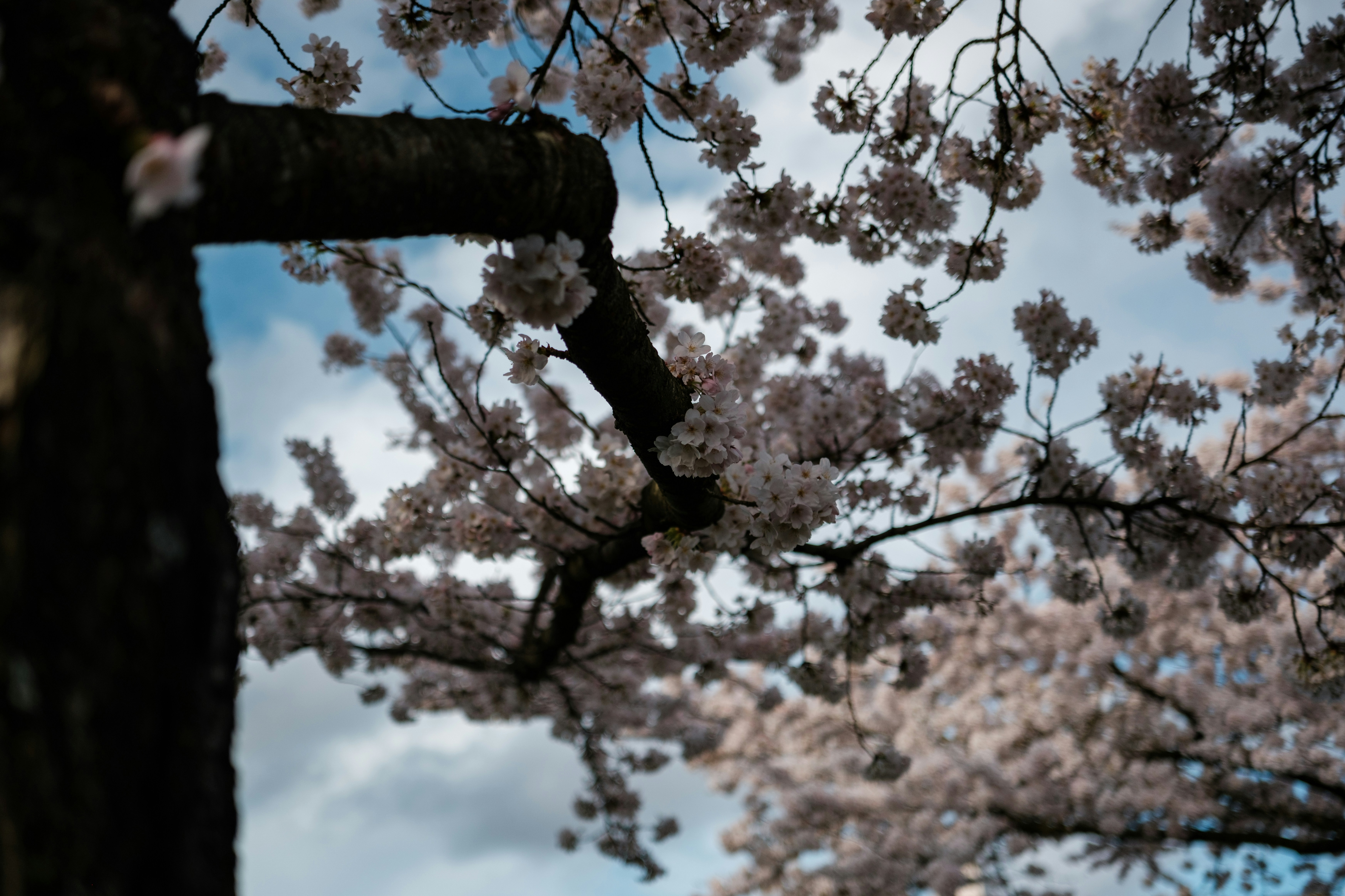 Photo by haberdoedas2