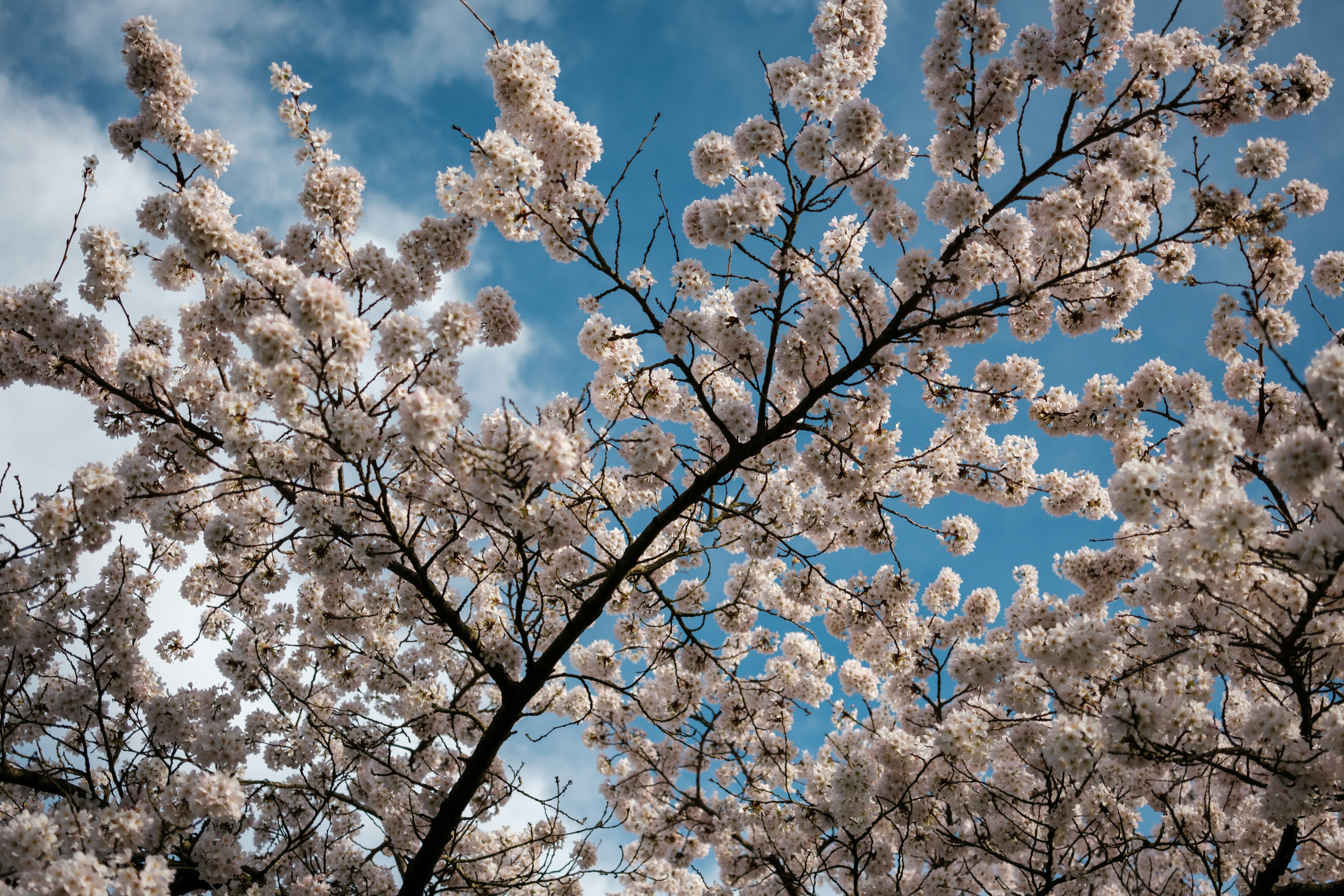 Photo by haberdoedas2