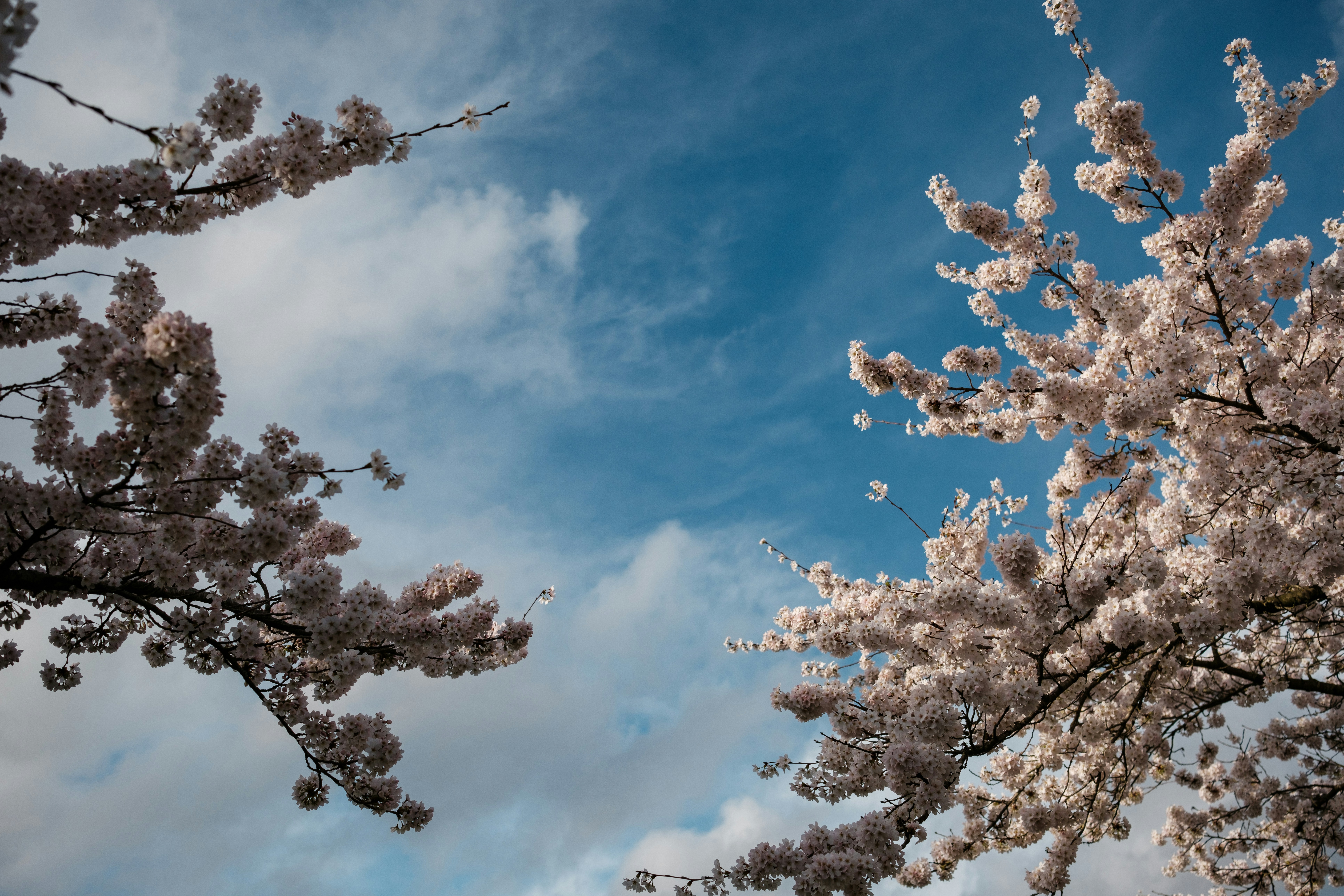 Photo by haberdoedas2