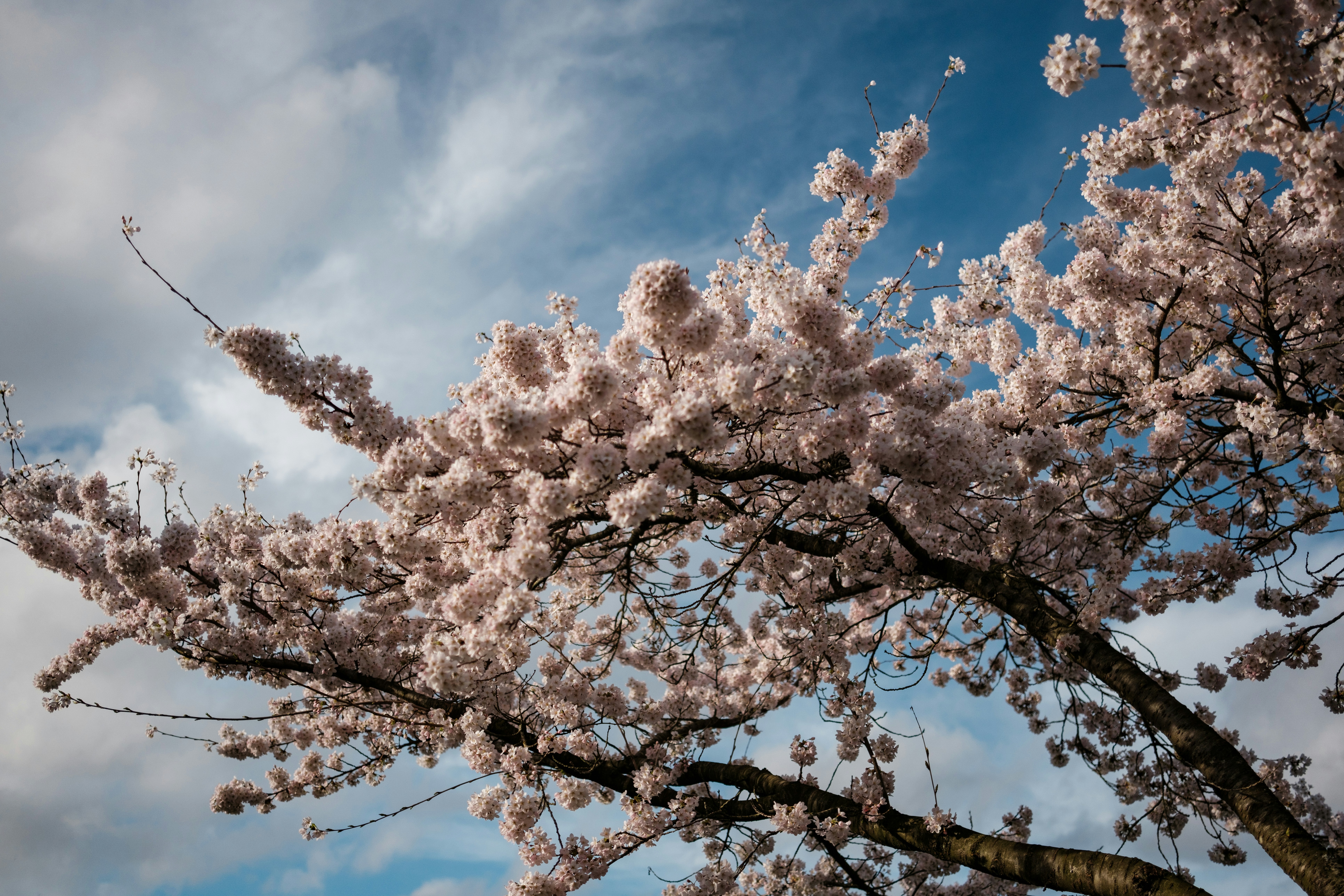 Photo by haberdoedas2