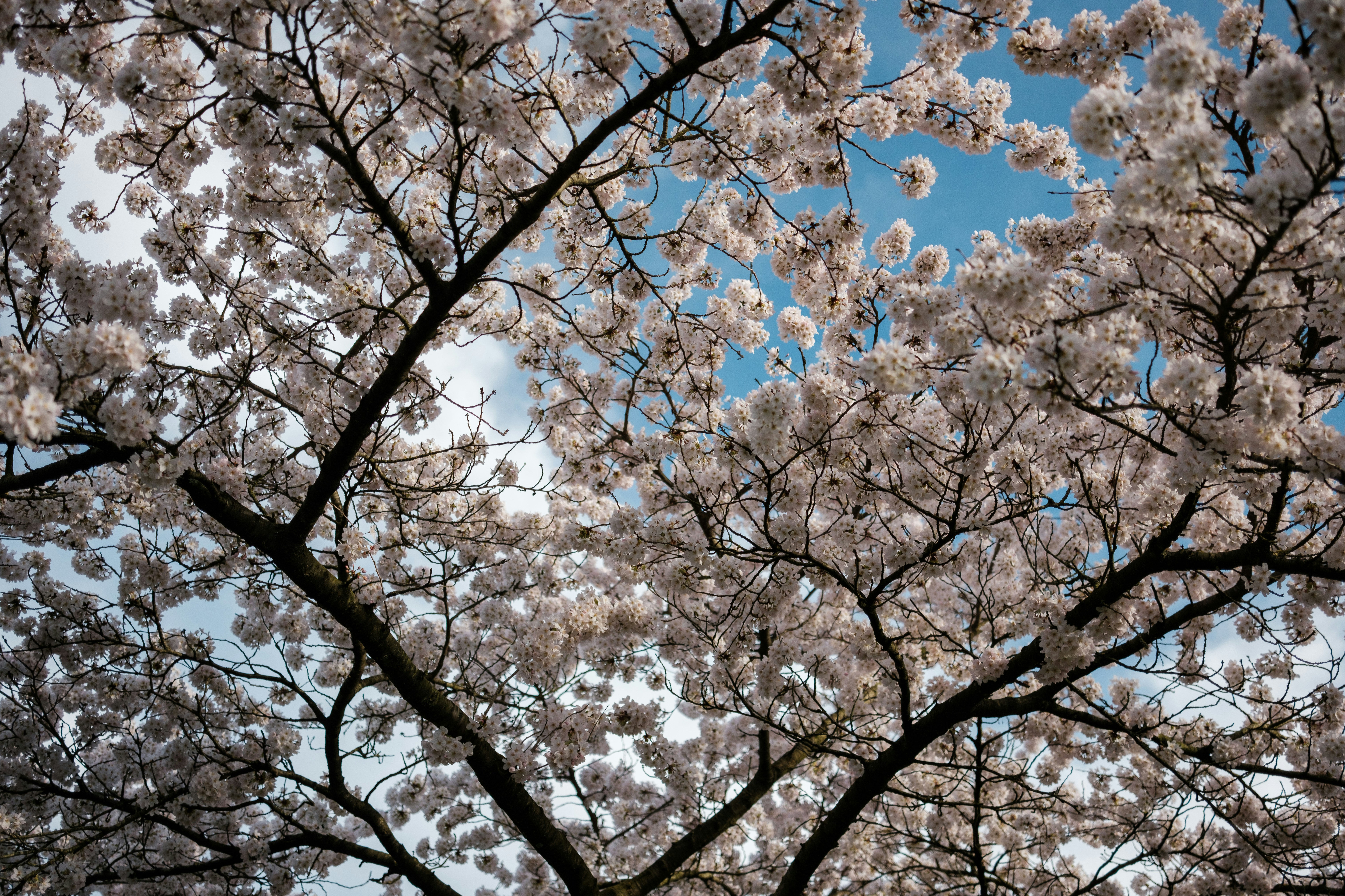 Photo by haberdoedas2