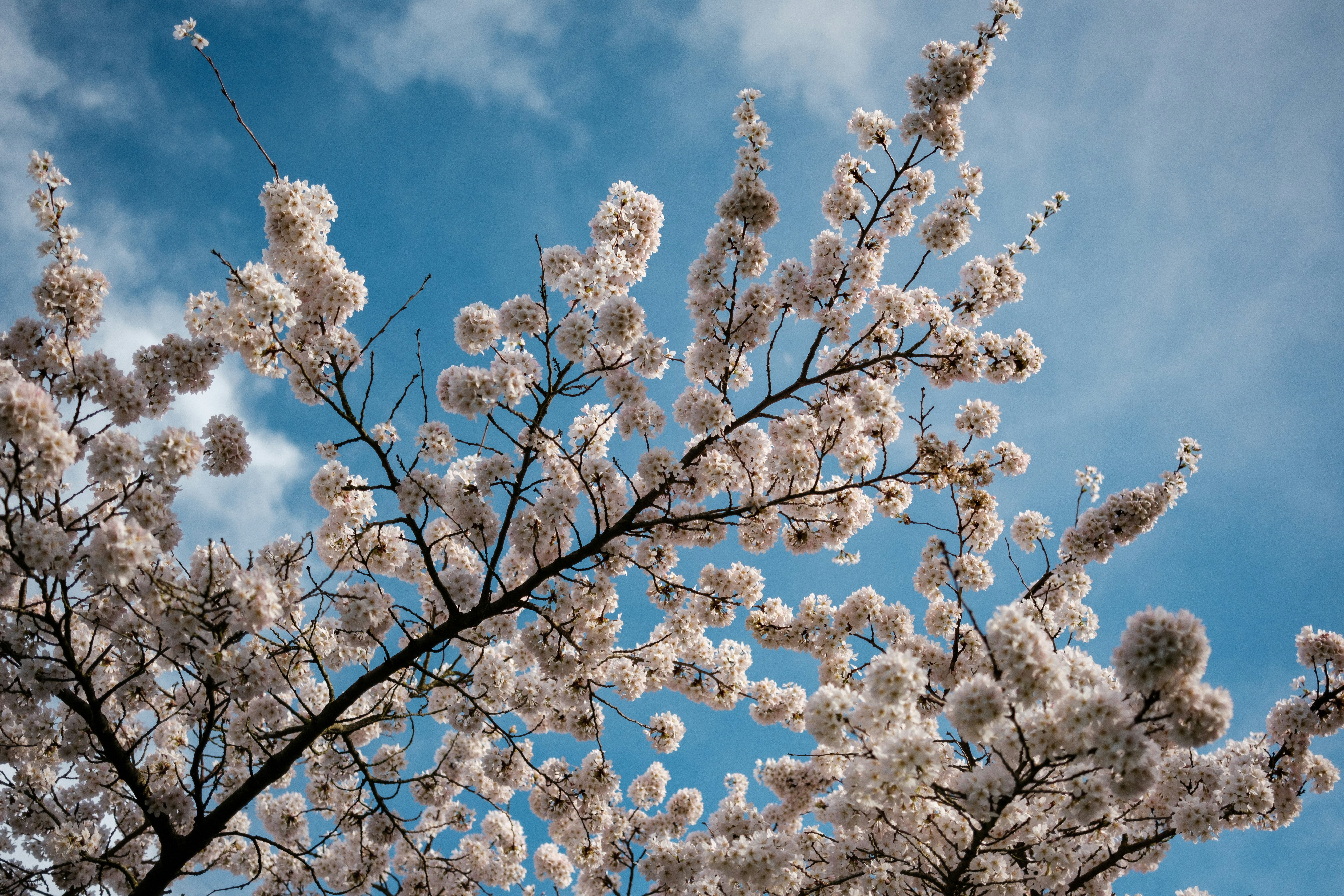 Photo by haberdoedas2