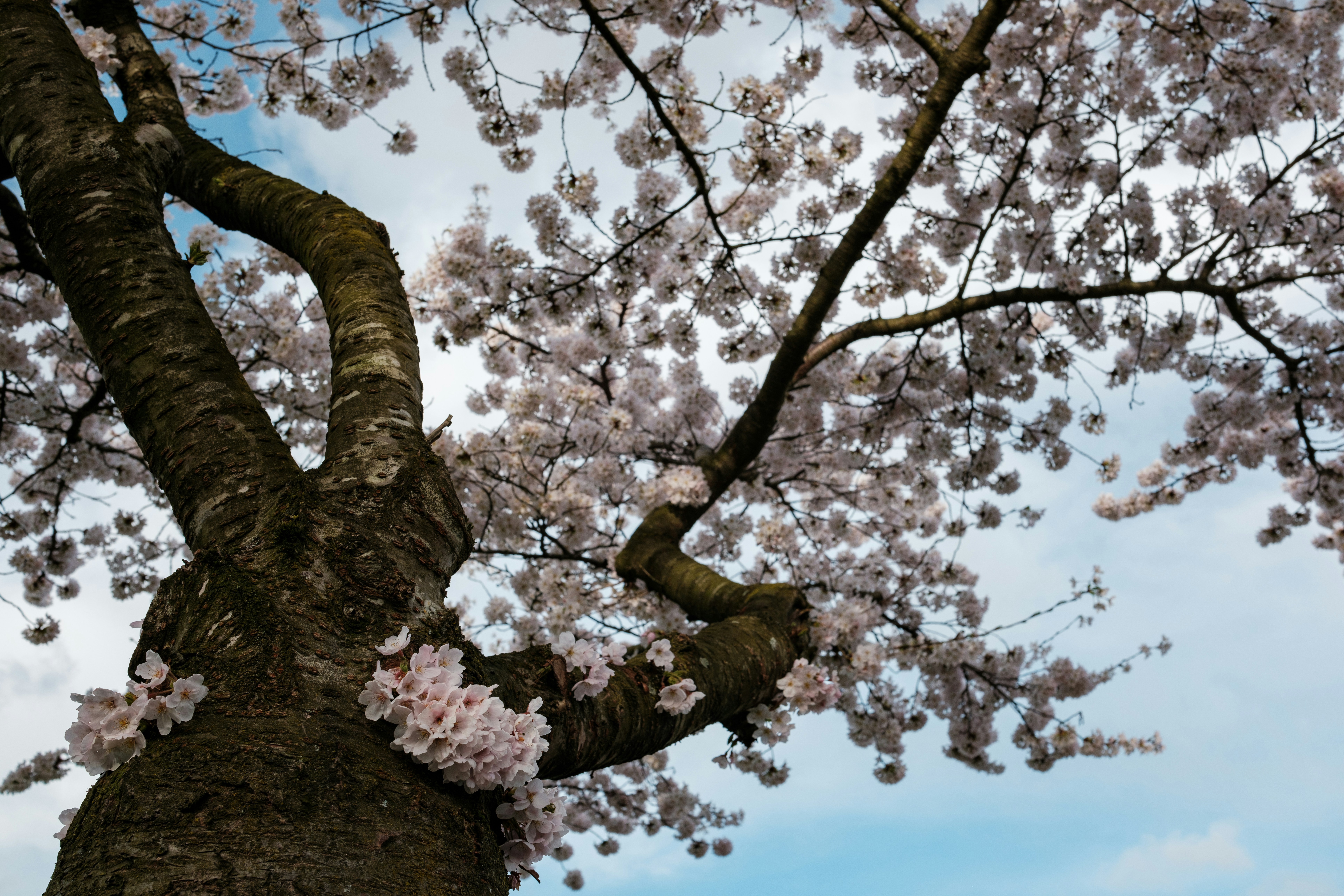 Photo by haberdoedas2