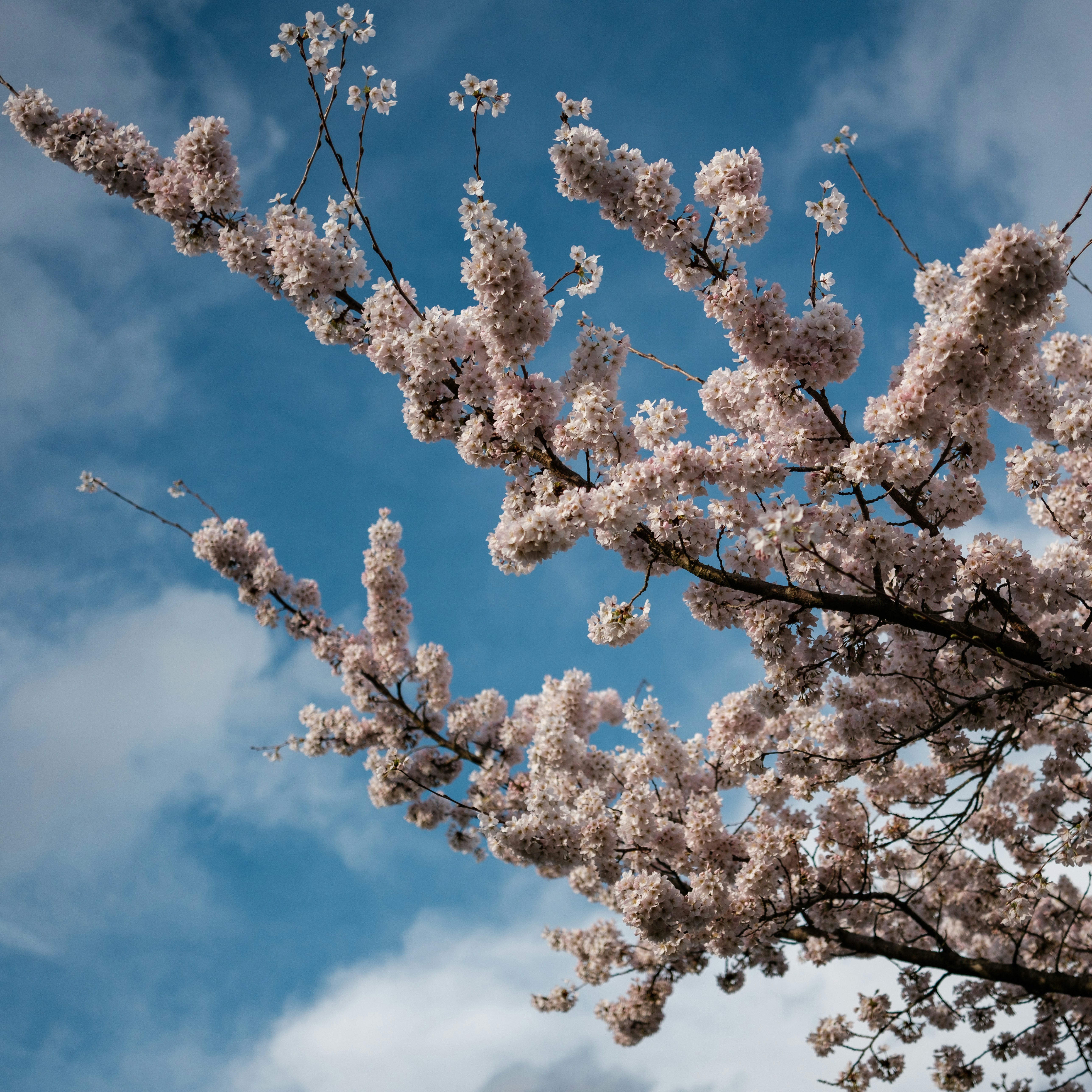 Photo by haberdoedas2