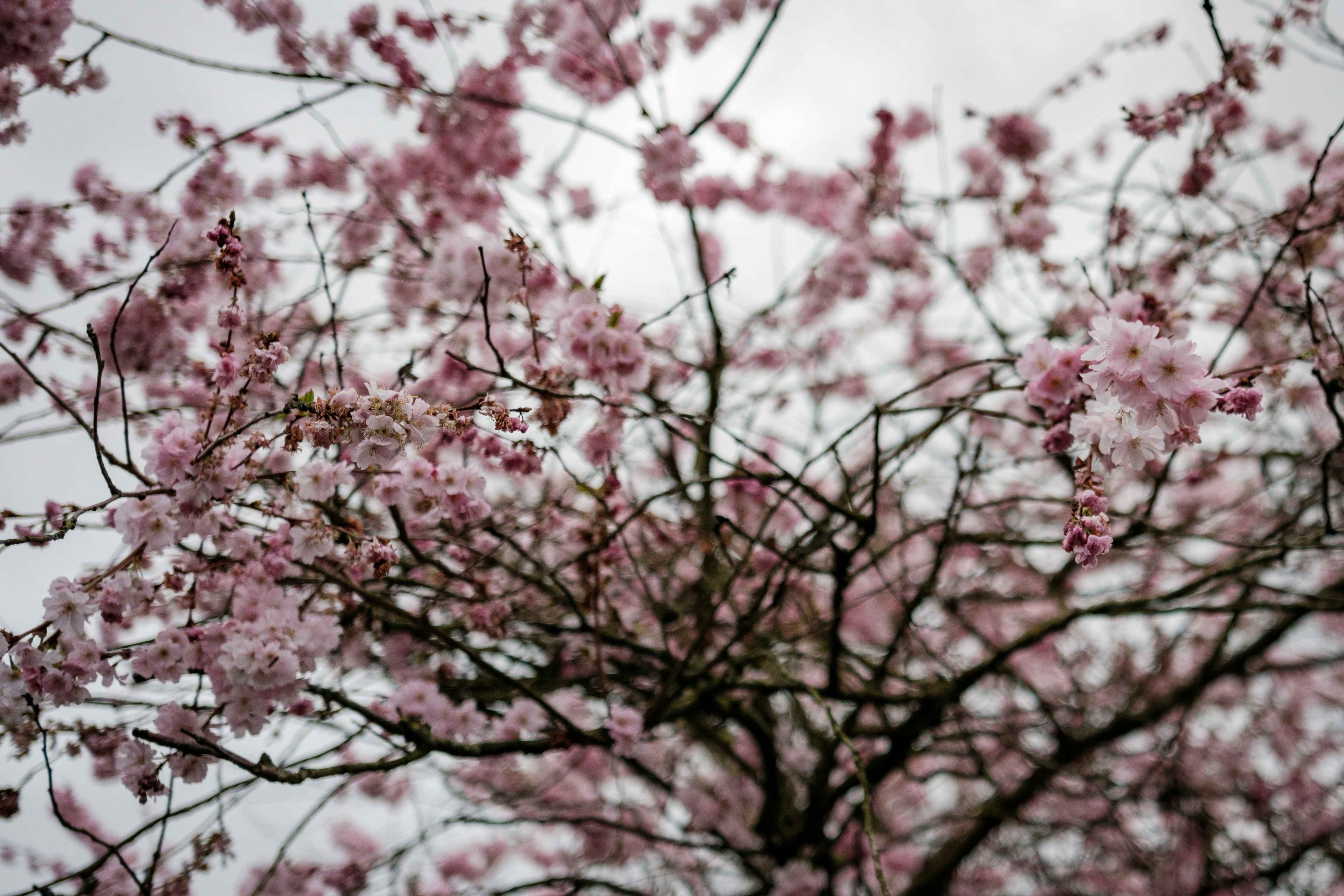 Photo by haberdoedas2