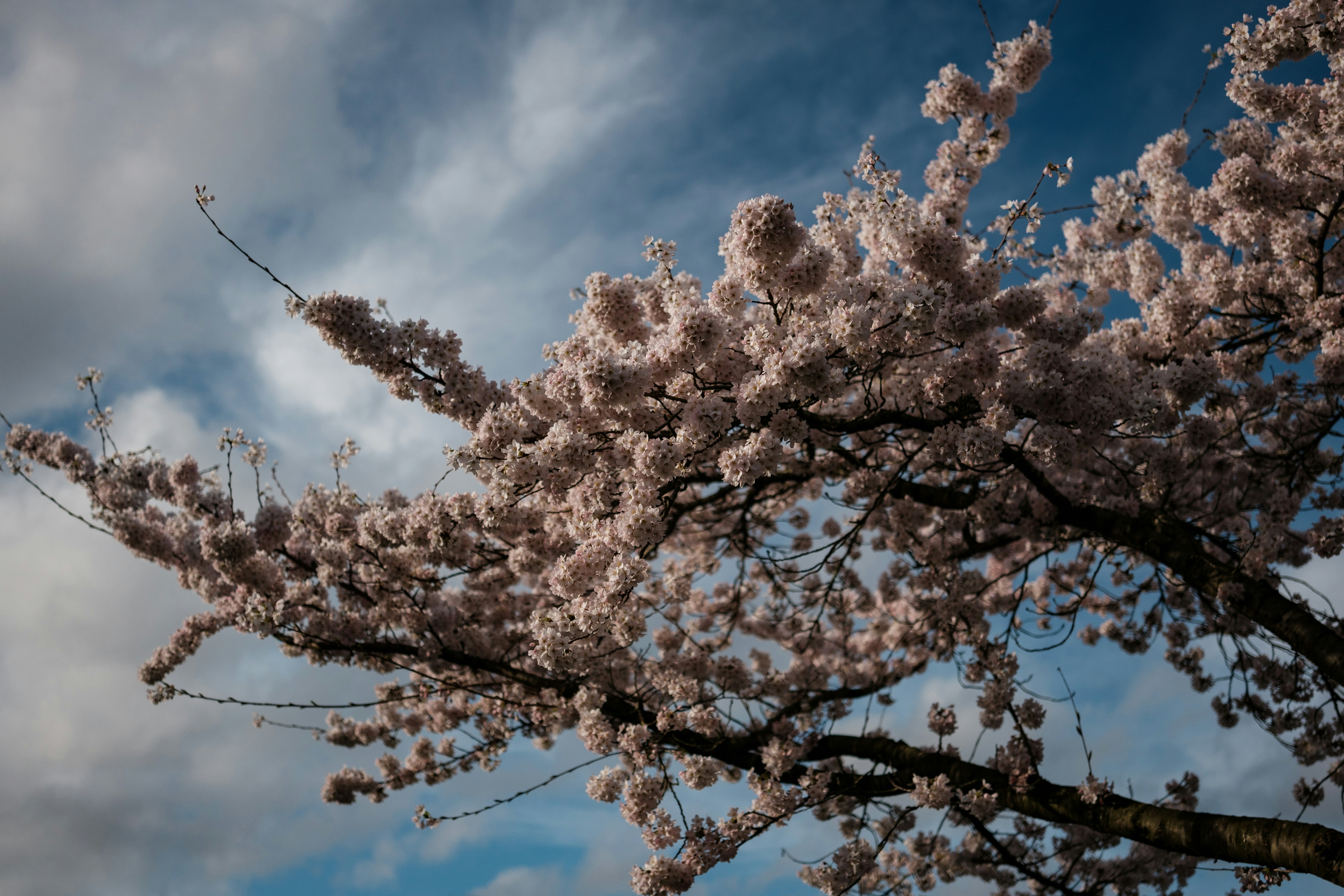 Photo by haberdoedas2