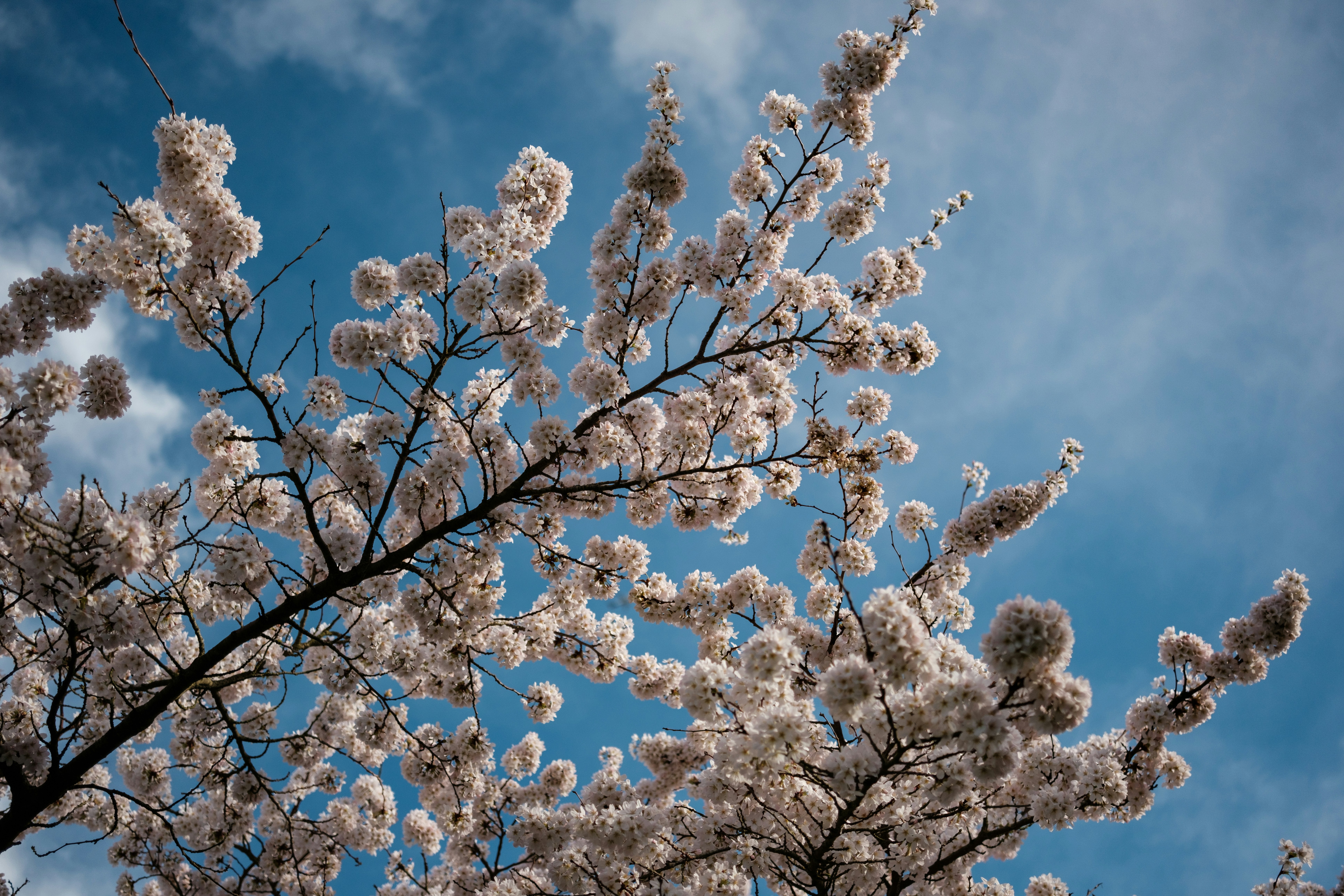 Photo by haberdoedas2