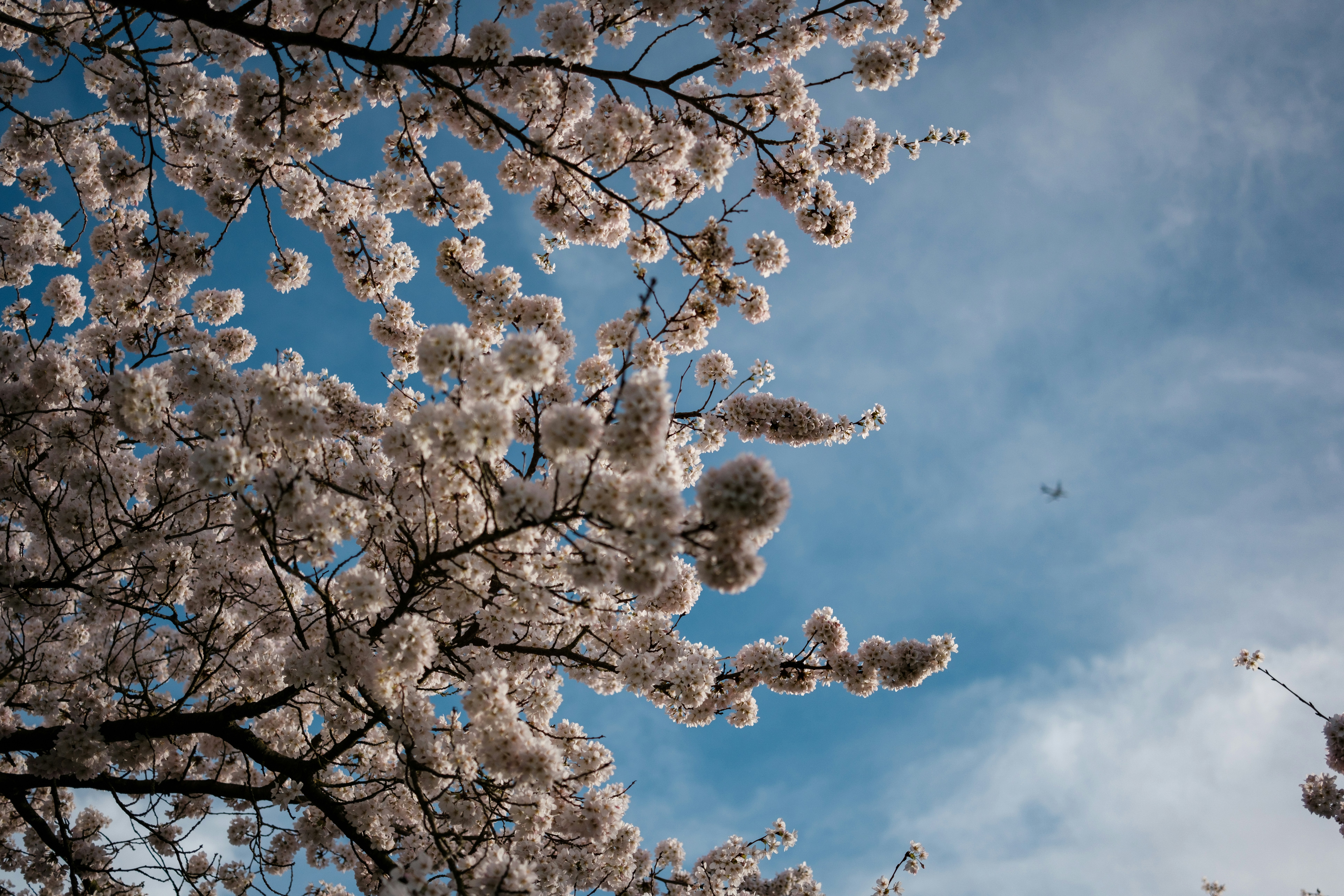 Photo by haberdoedas2