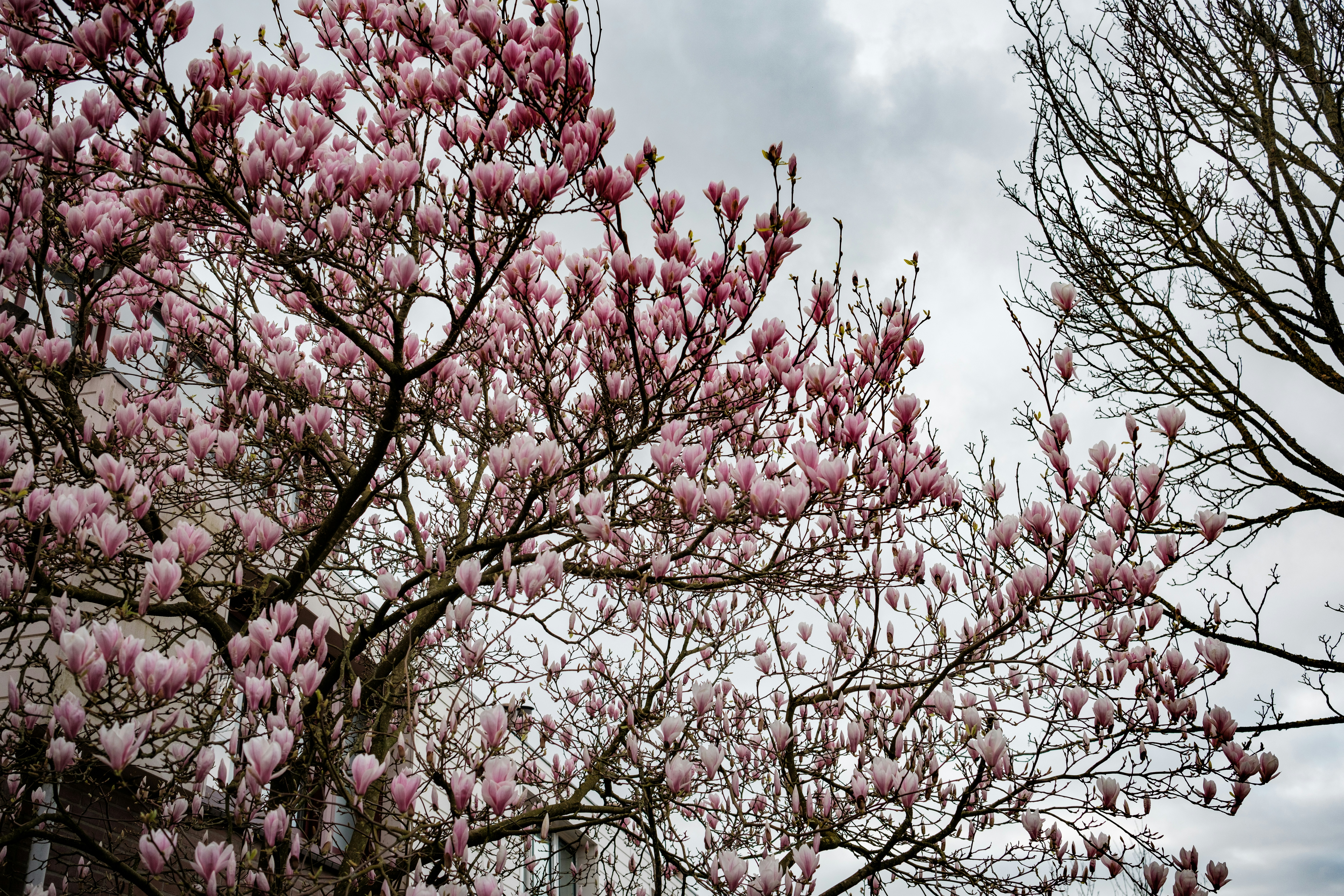 Photo by haberdoedas2