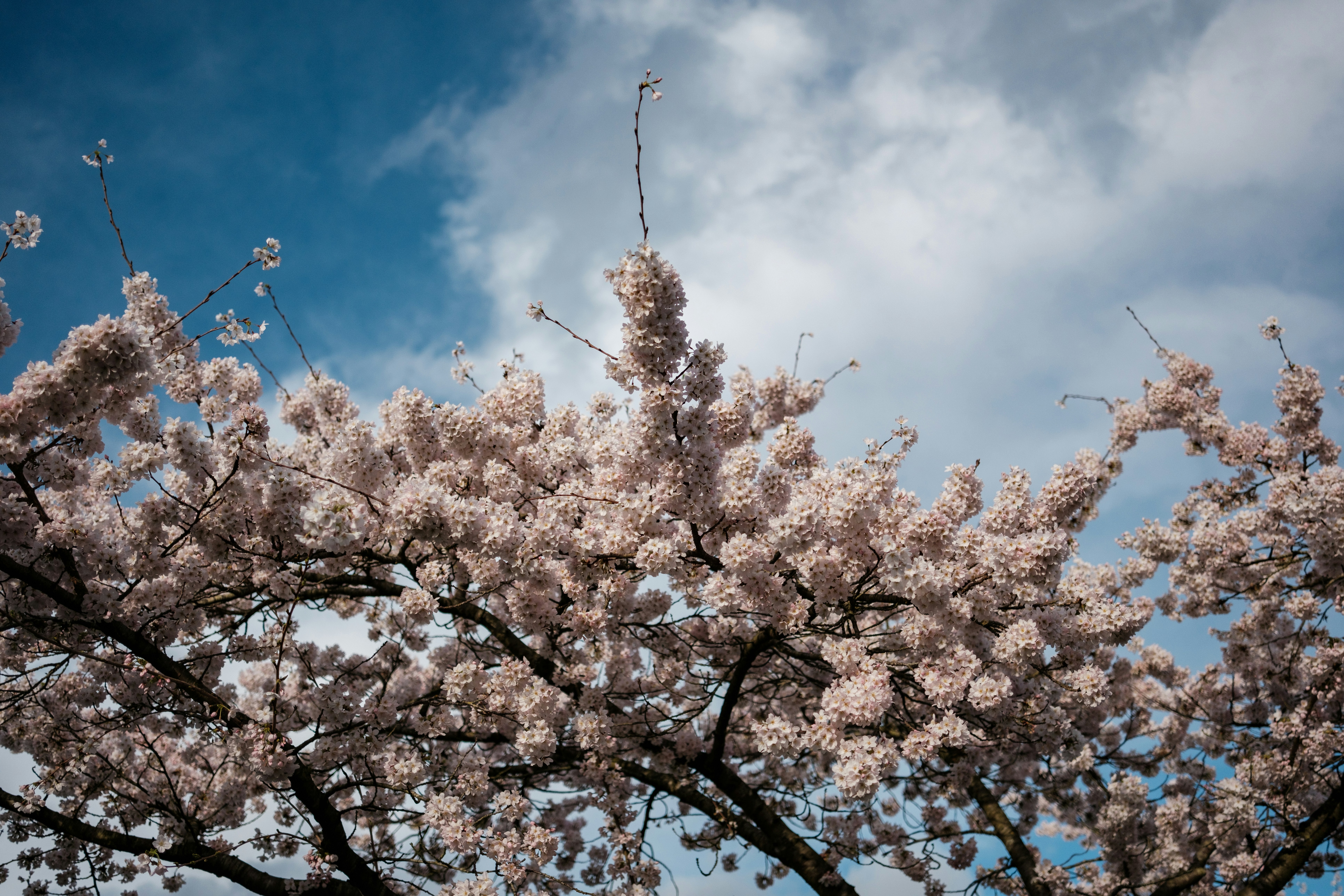 Photo by haberdoedas2