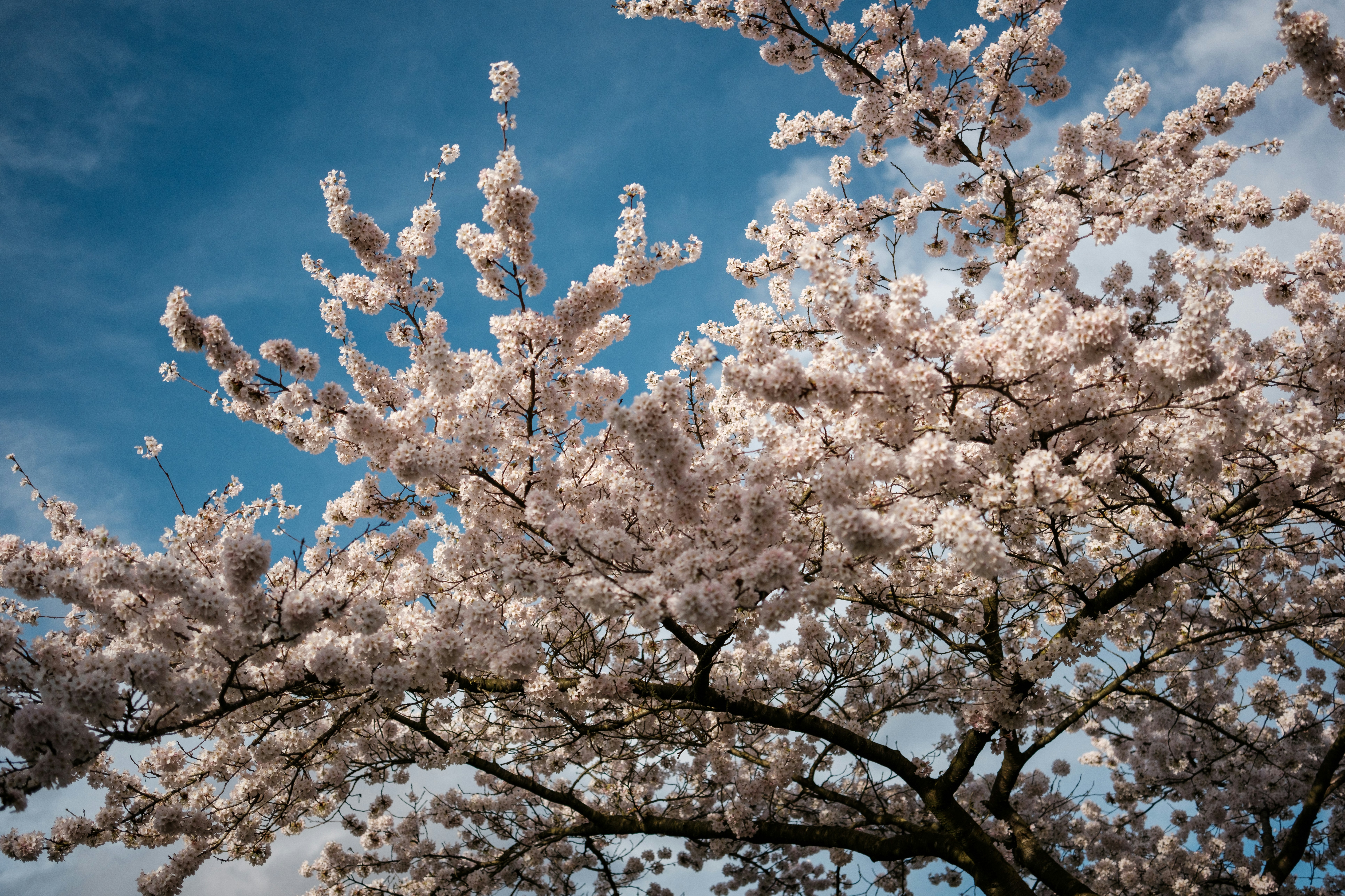 Photo by haberdoedas2