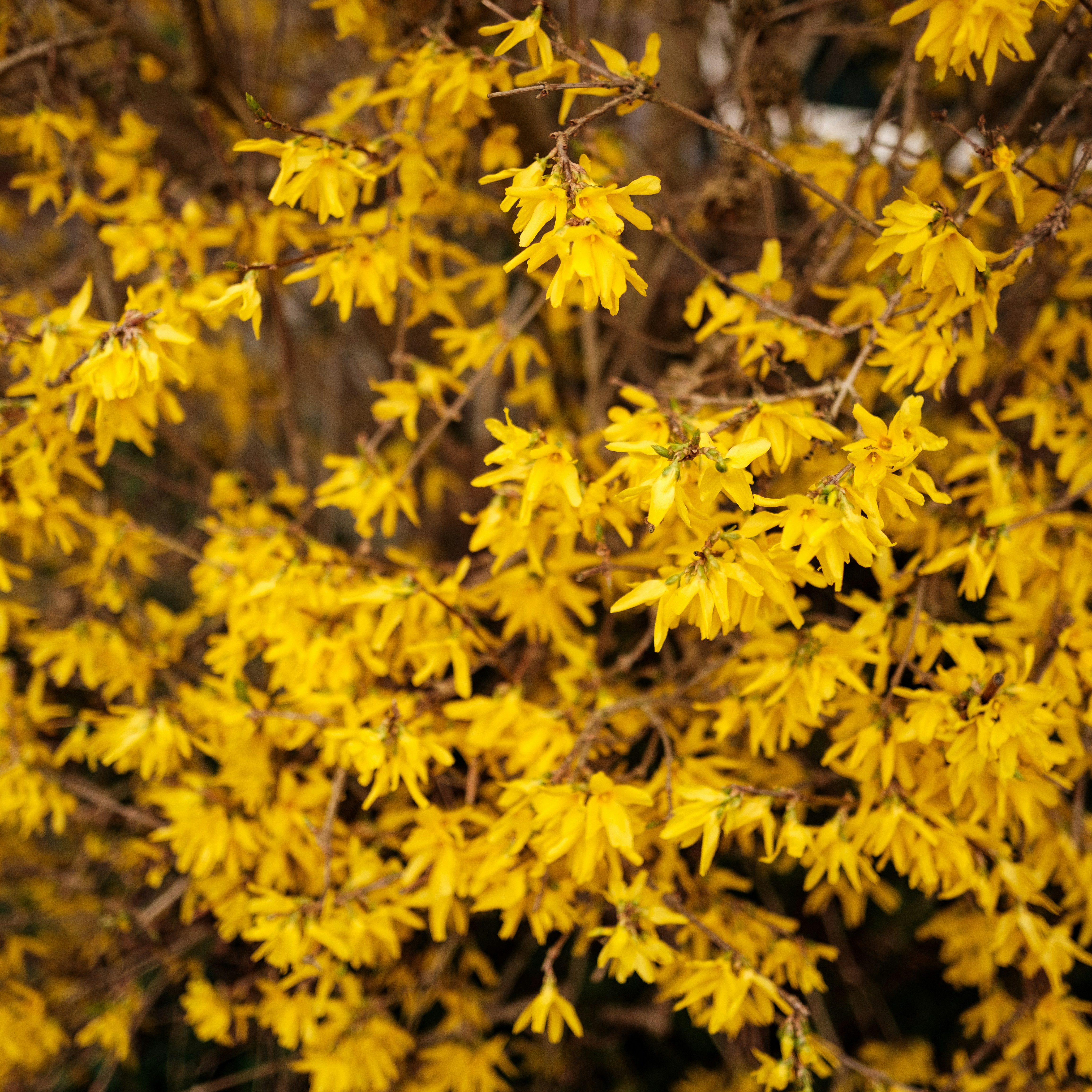 Photo by haberdoedas2