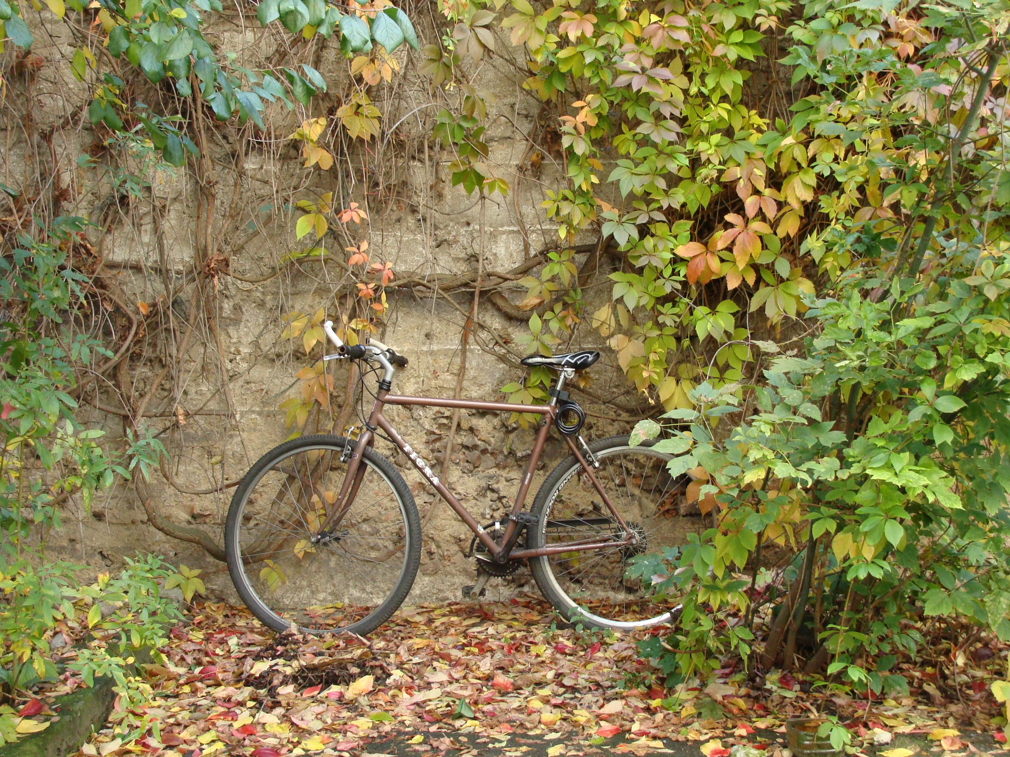a bike parked next to a stone wall