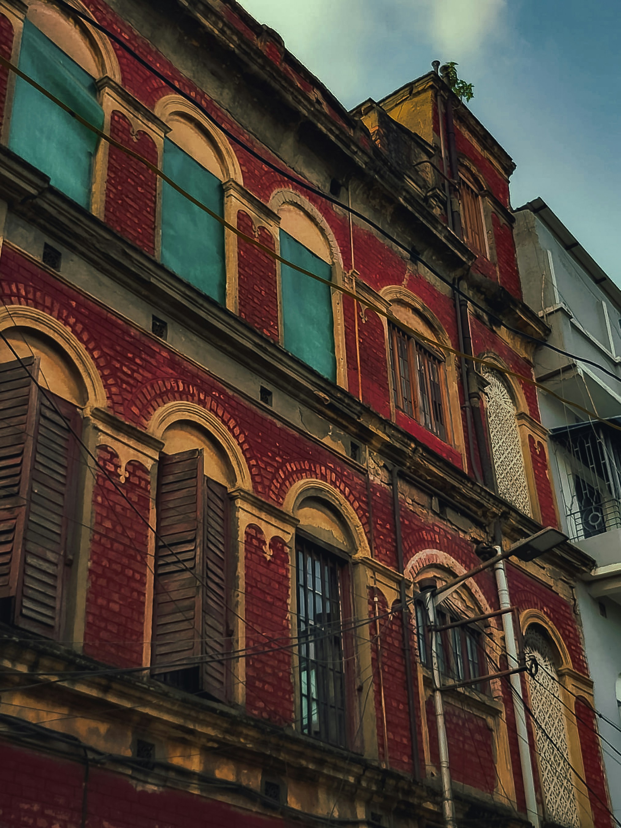 Photo by the_shutterbug