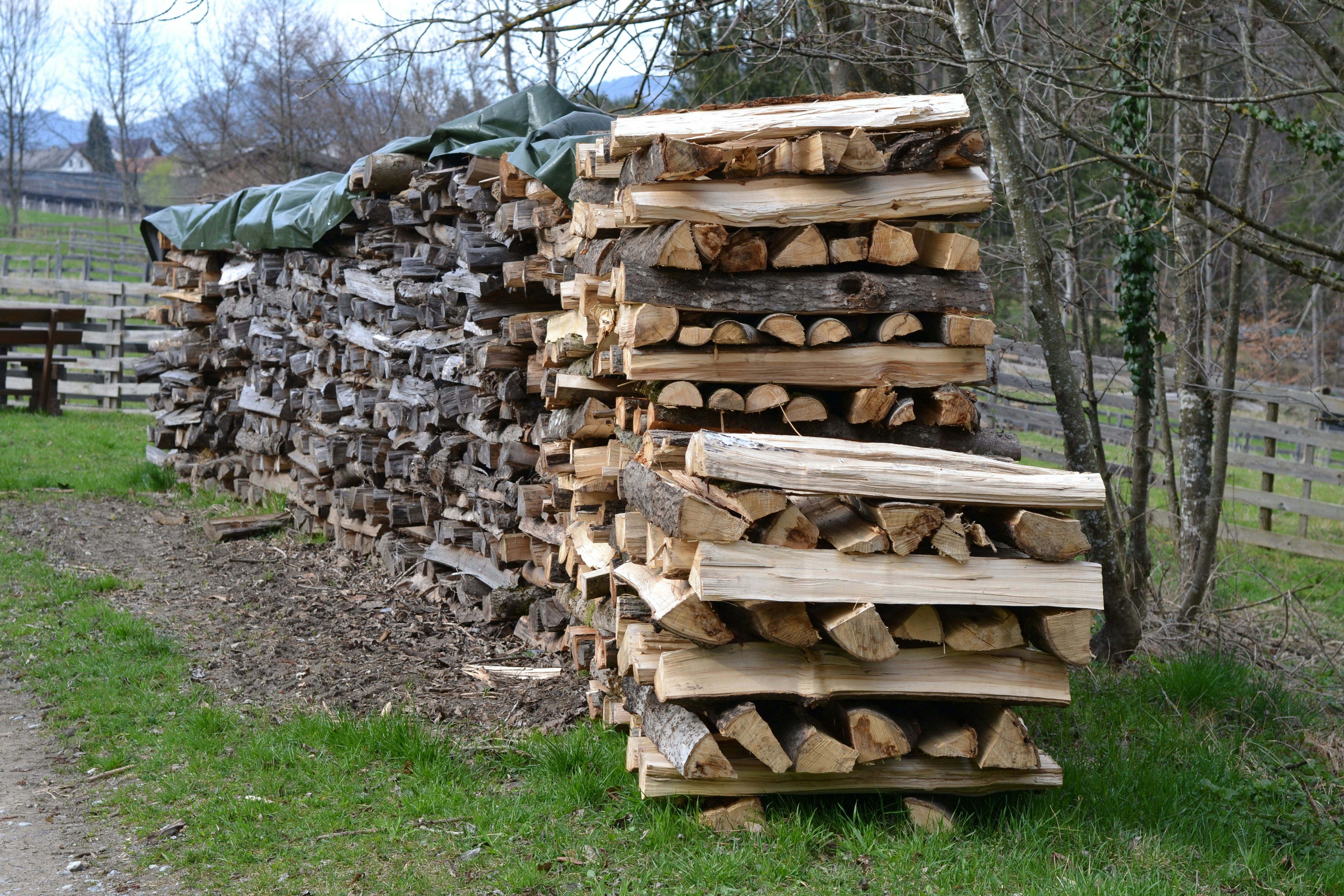 photo 1710528392195 1f9843a10d48?crop=entropy&cs=tinysrgb&fit=max&fm=jpg&ixid=M3w1MjQ0NjR8MHwxfHNlYXJjaHwxOHx8U3RhY2tlZCUyMGZpcmV3b29kfGVufDB8MHx8fDE3NTE0NjA3OTR8MA&ixlib=rb 4.1