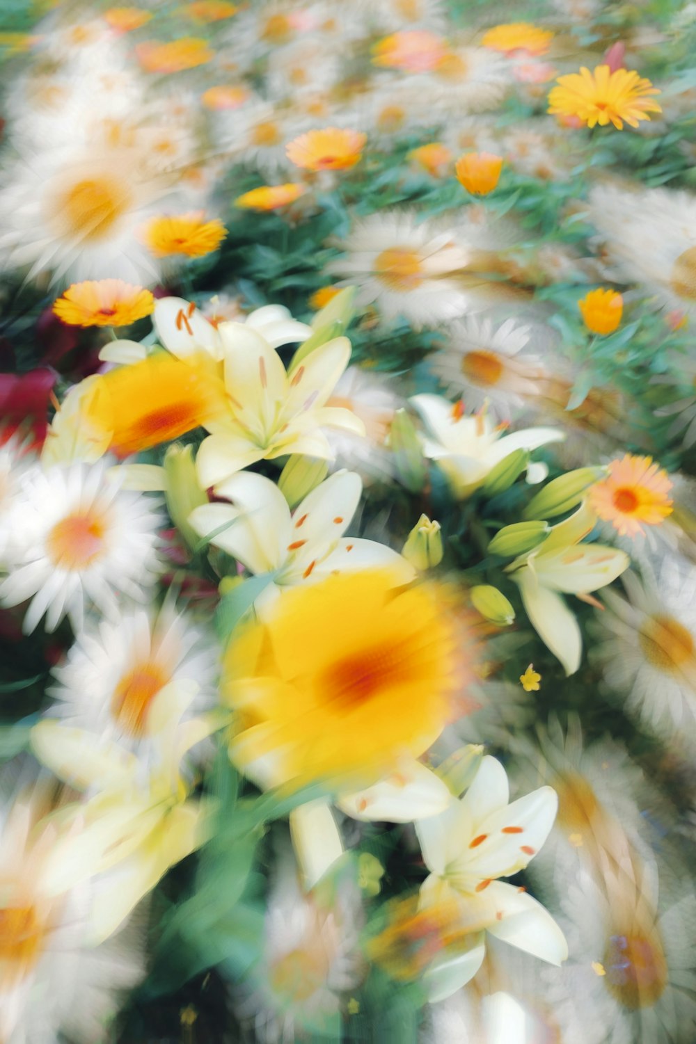 a bunch of flowers that are in the grass