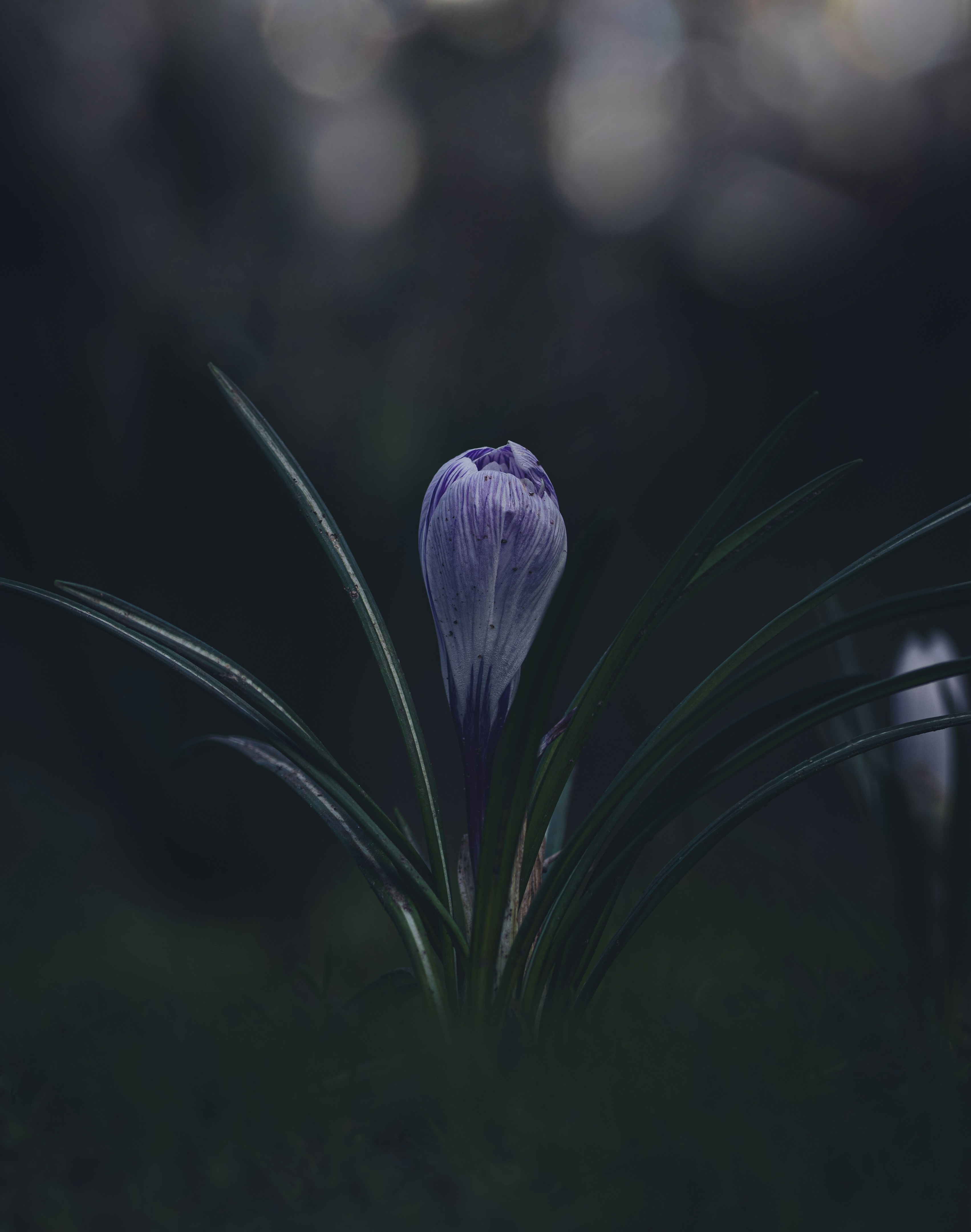 Photo by matt_captures_nature