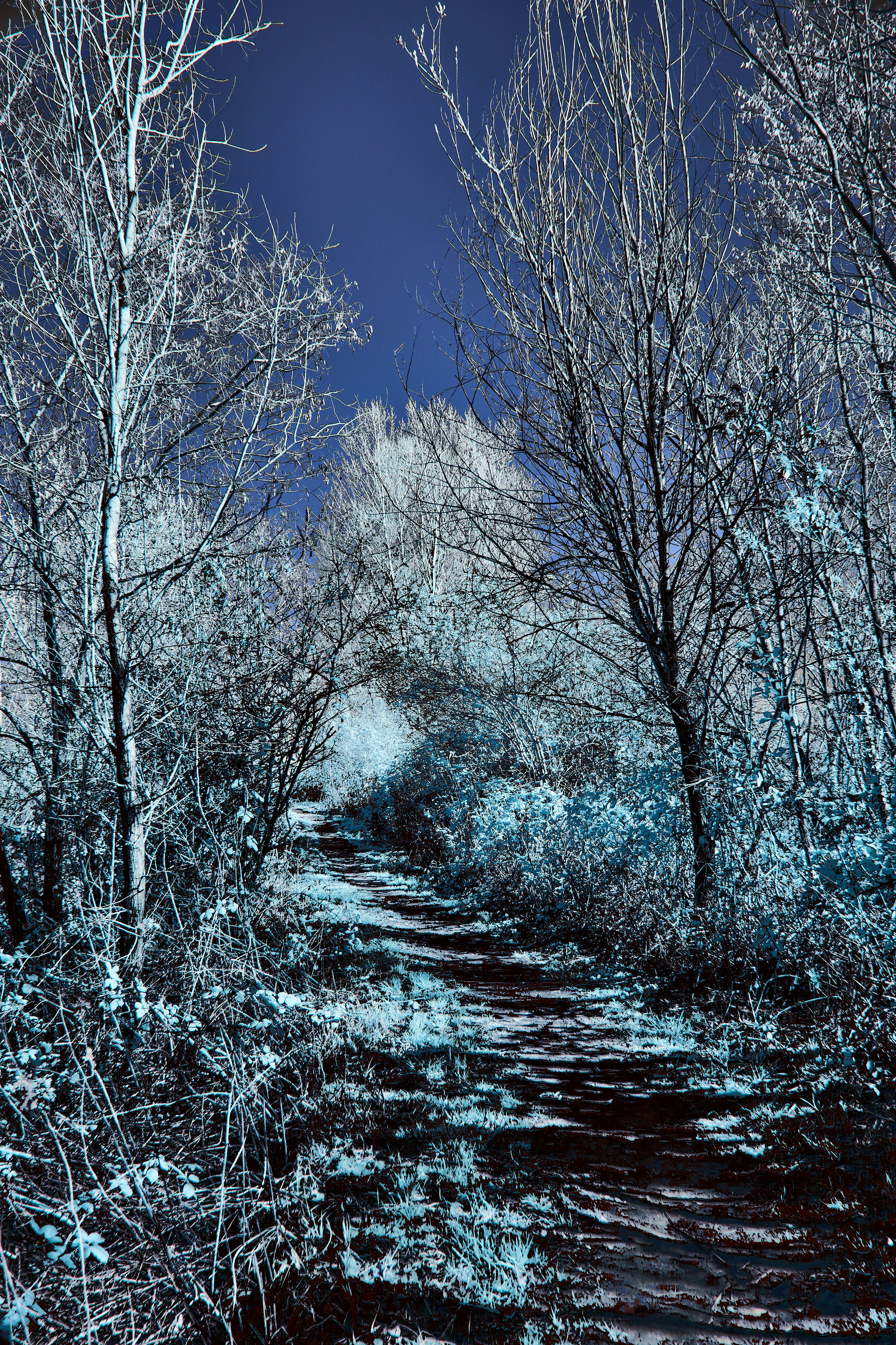 Photo by wolfgang_hasselmann