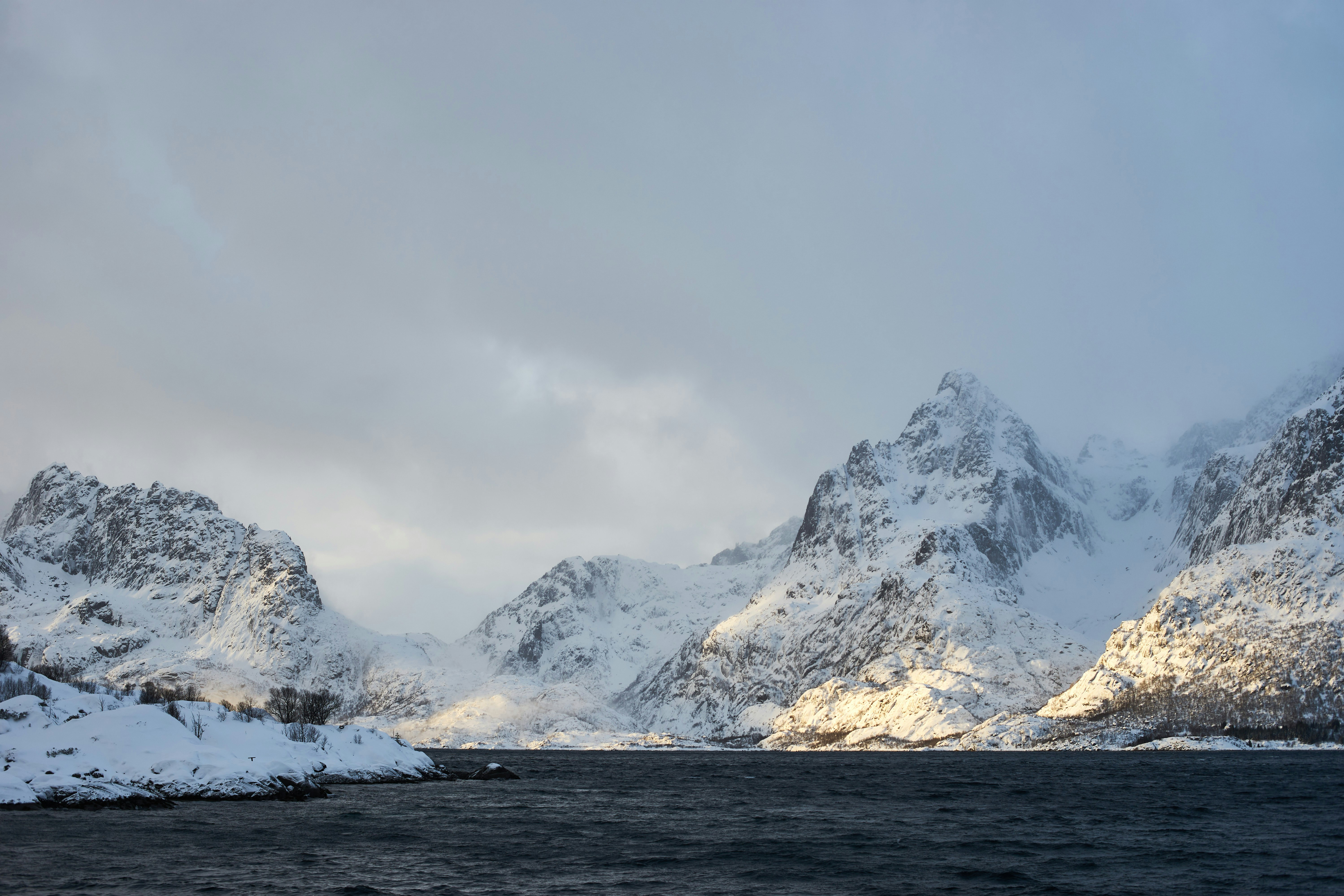 Photo by wolfgang_hasselmann