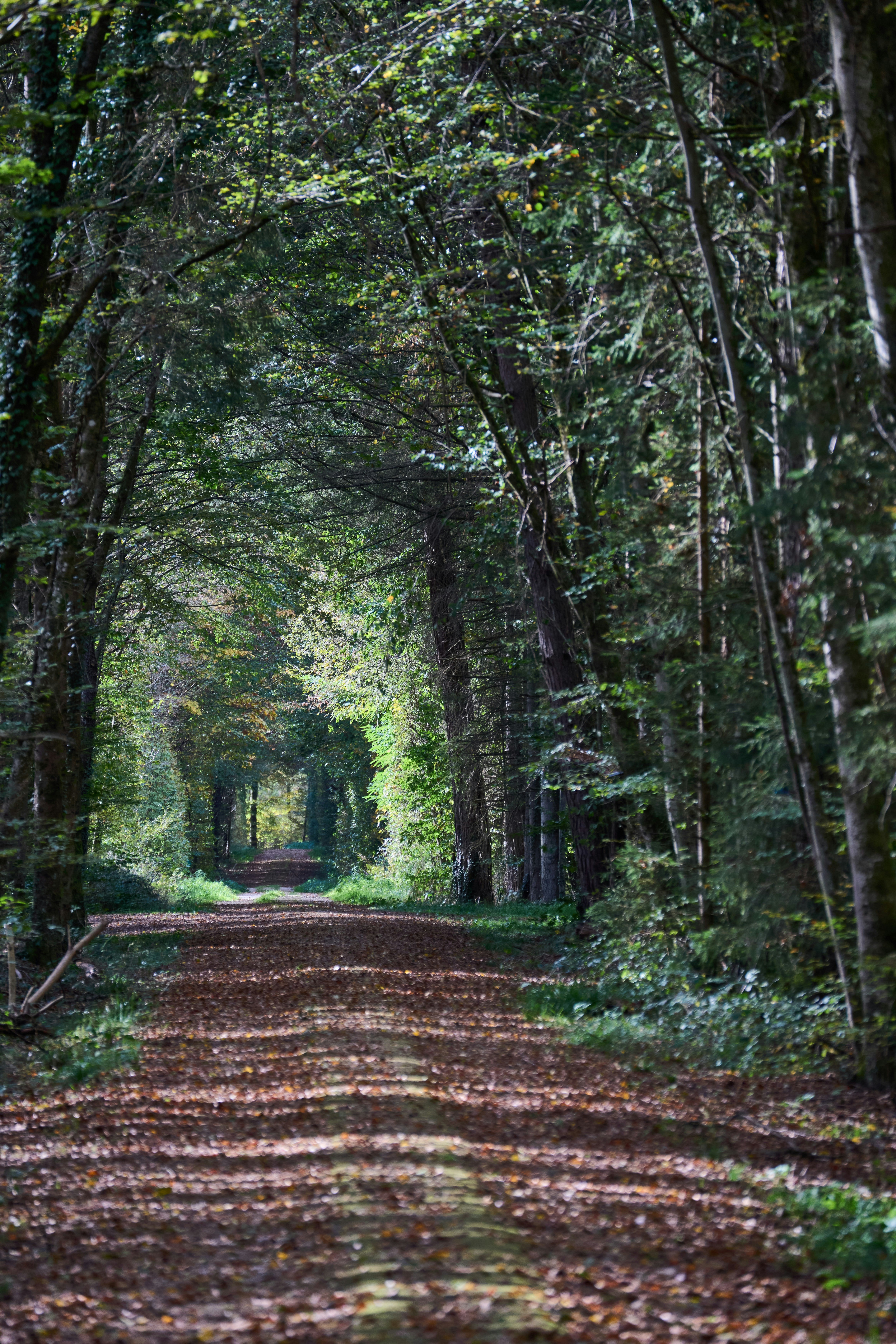 Photo by wolfgang_hasselmann