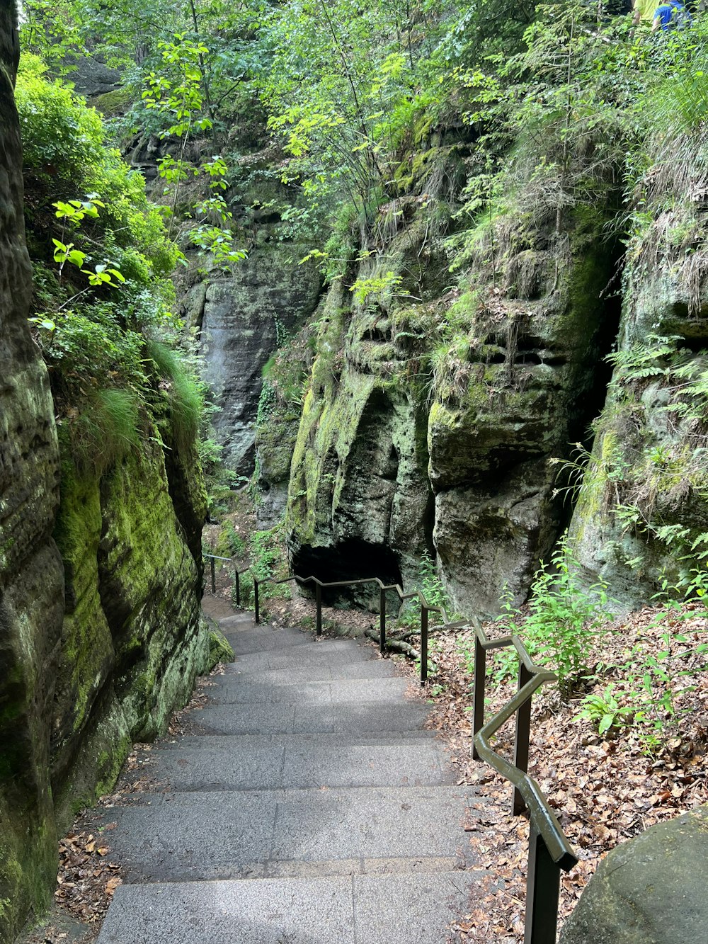 una pasarela de piedra que conduce a una cueva en el bosque