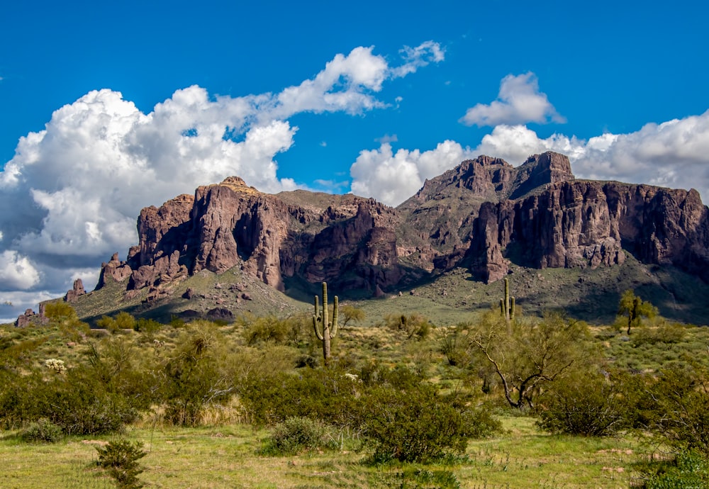 una grande montagna con pochi alberi di fronte