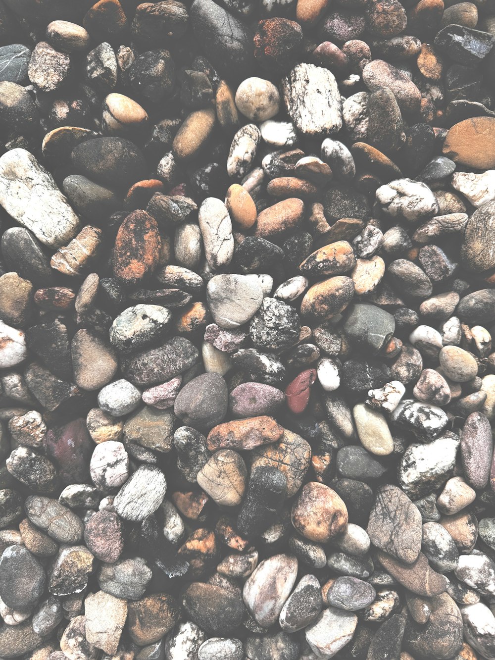 a bunch of rocks that are on the ground