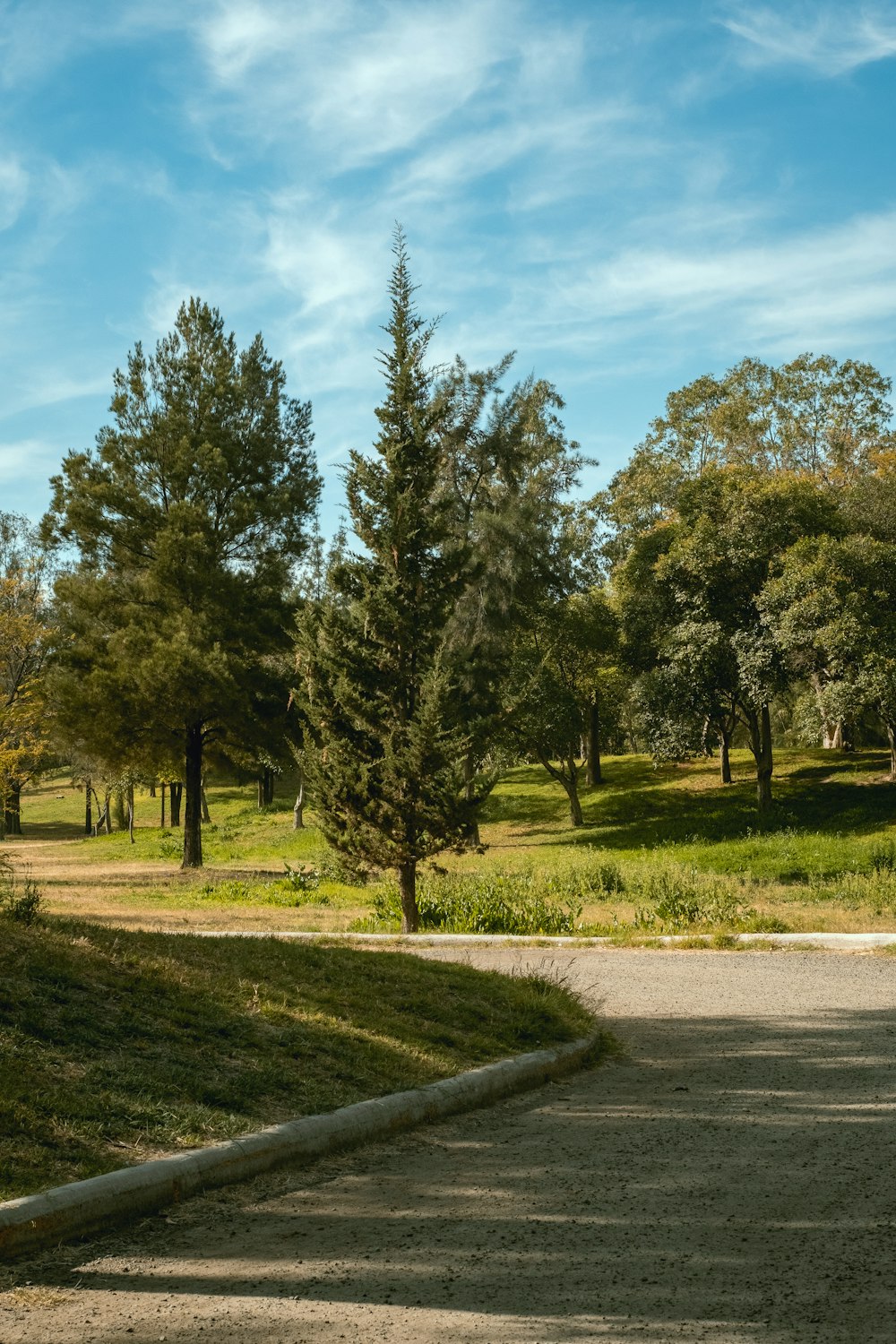 a person riding a skateboard on a path in a park