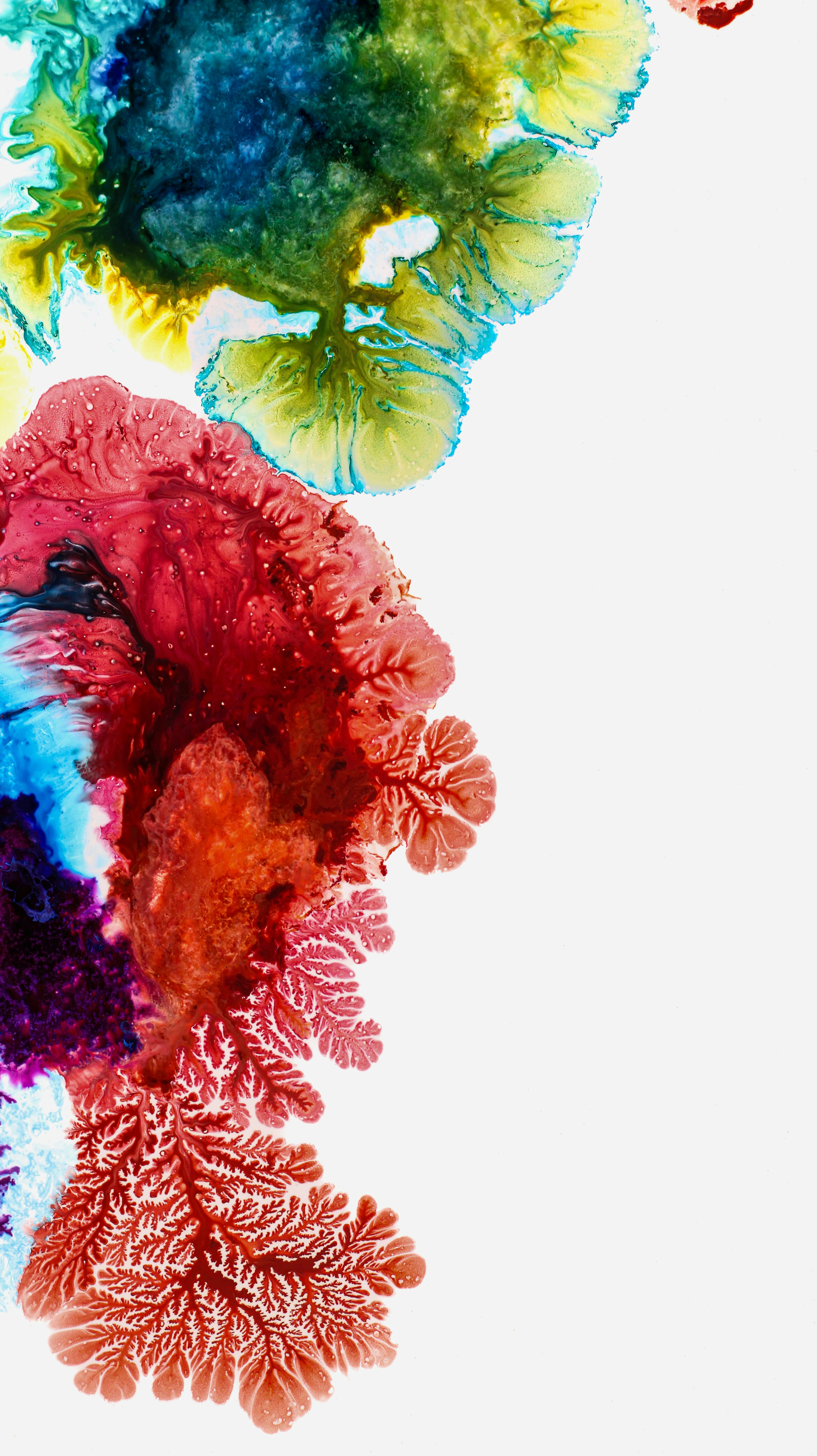 Photo by susan_wilkinson