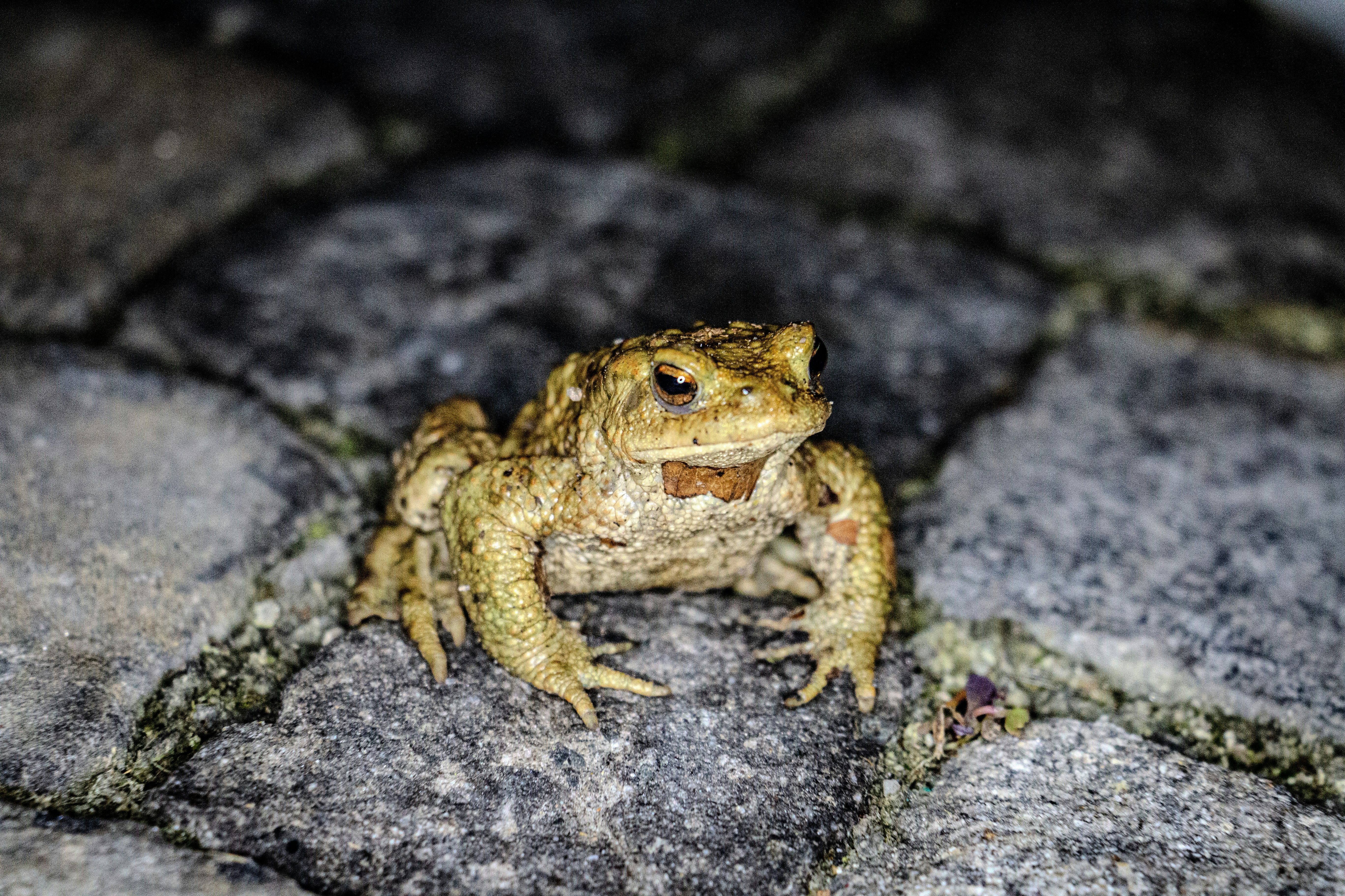 Photo by photosimon