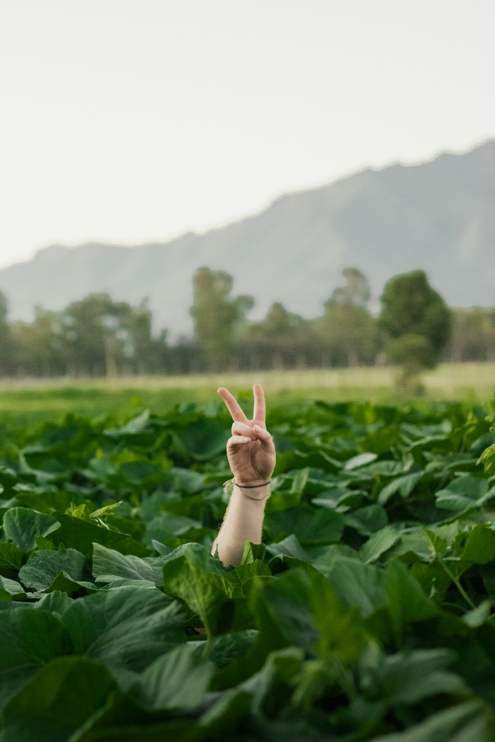 a person making a peace sign in a field
