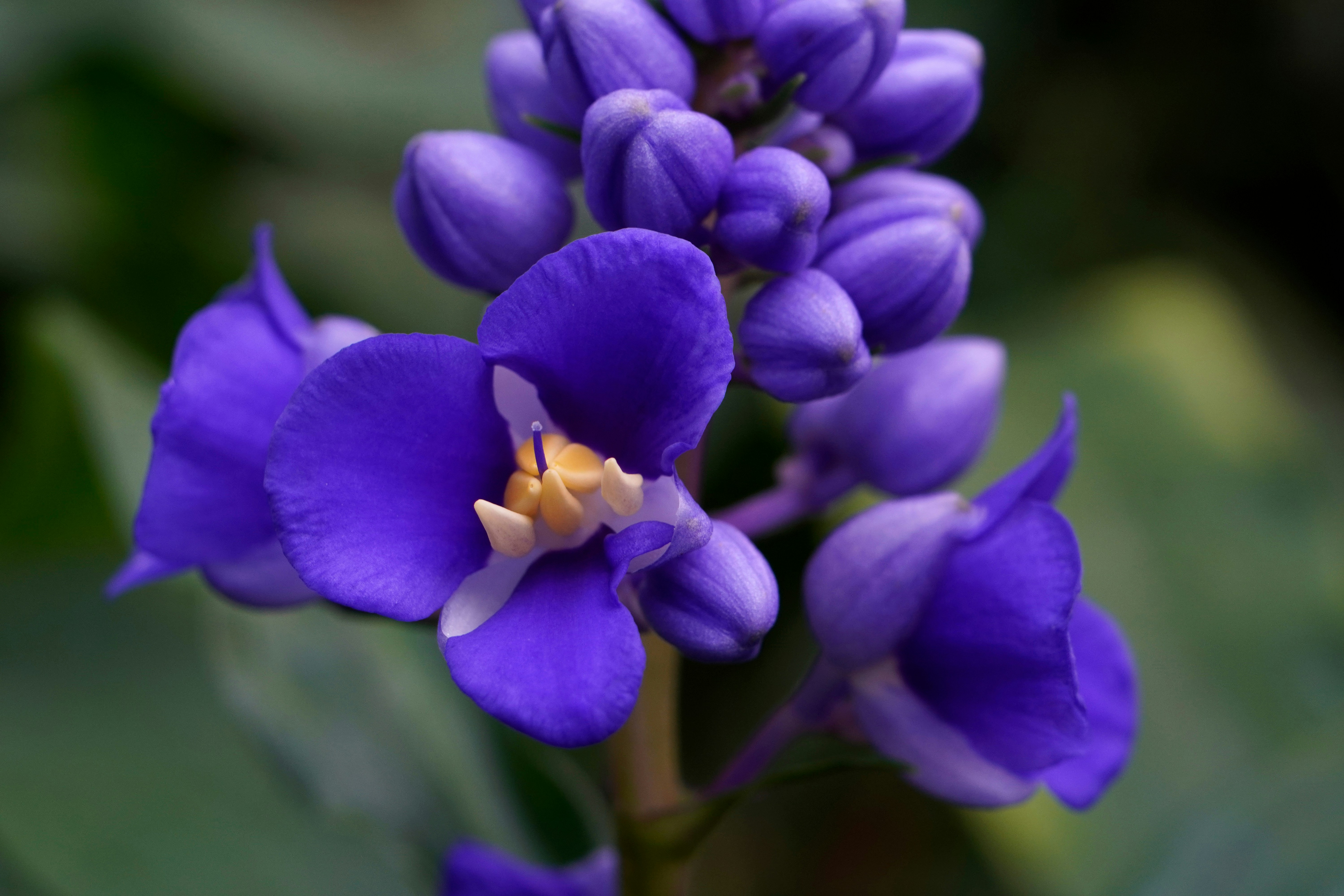 Photo by nataliagasiorowska