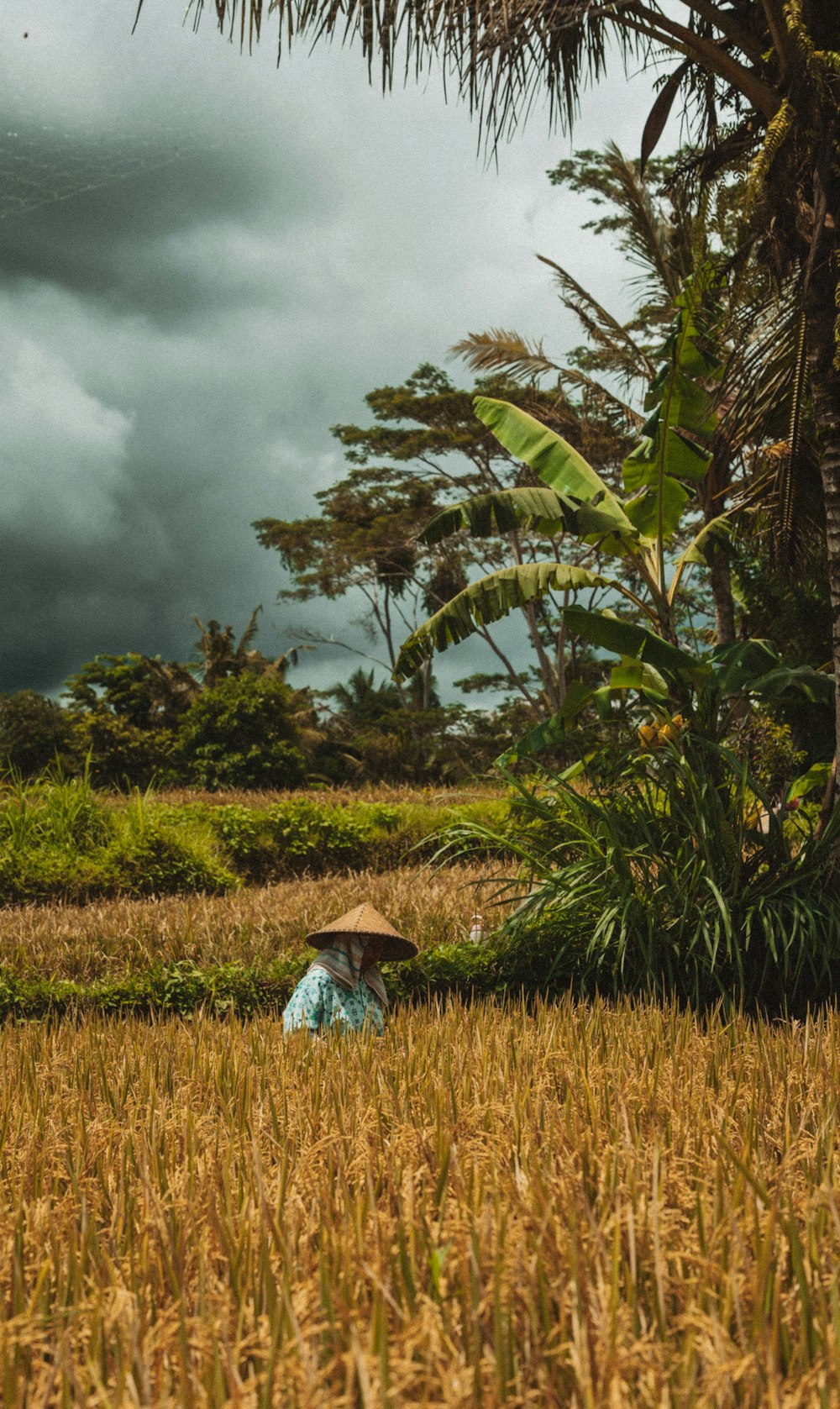 a person in a field with a hat on