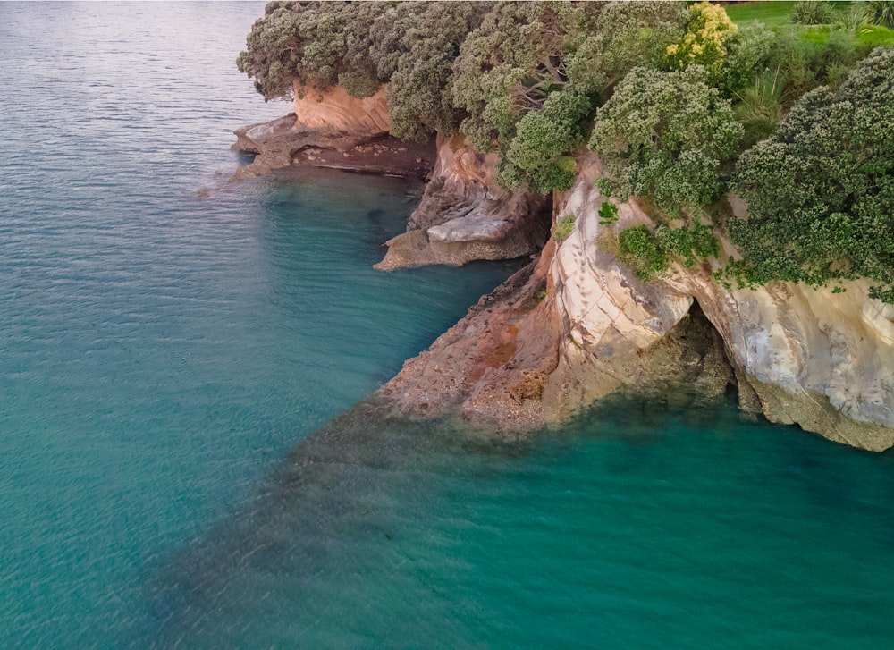 a large body of water surrounded by trees