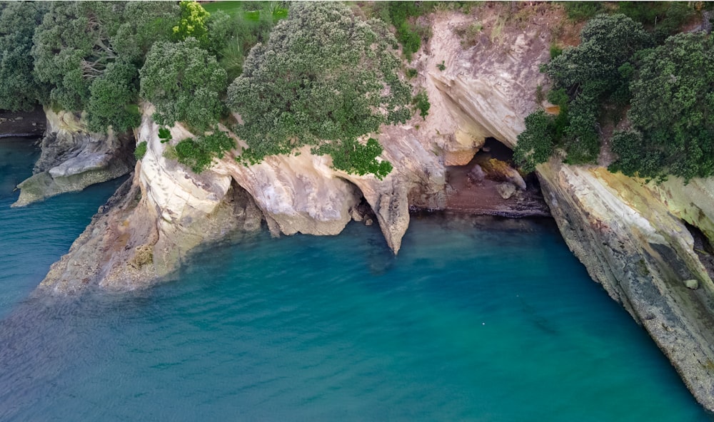 a large body of water surrounded by trees