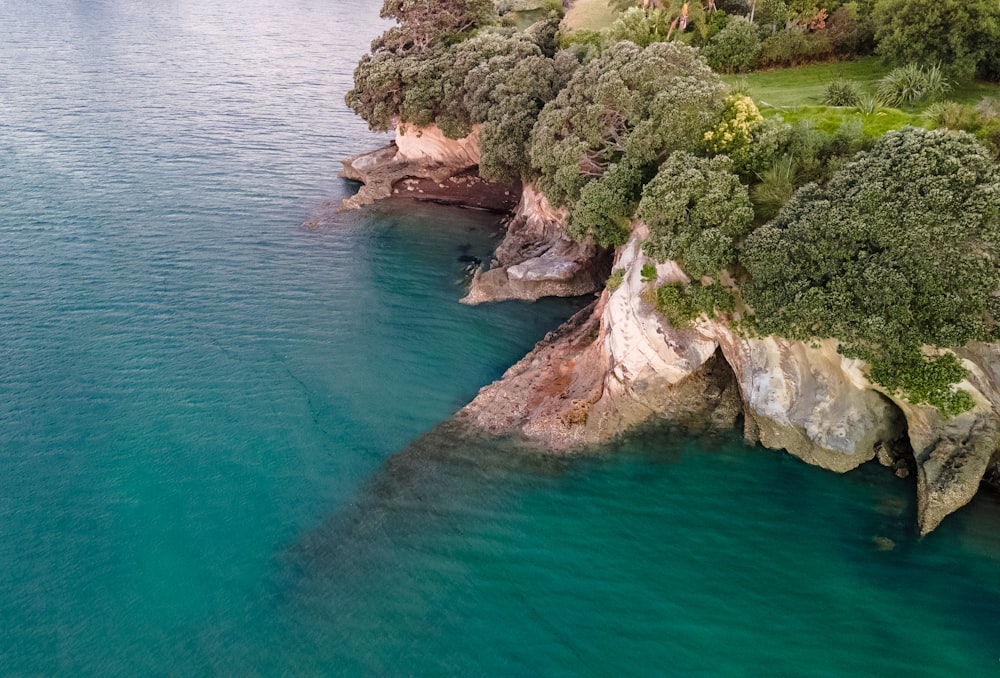 a large body of water surrounded by trees