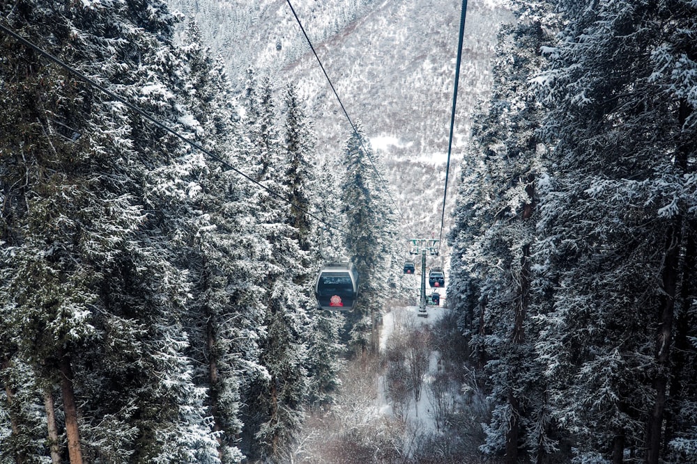 a ski lift in the middle of a snowy forest