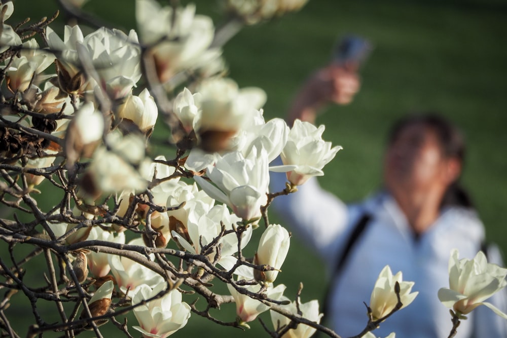 a woman taking a picture of a flowering tree