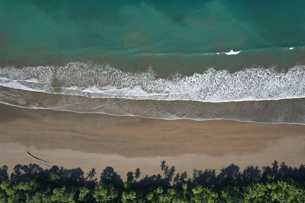 an aerial view of a sandy beach and ocean