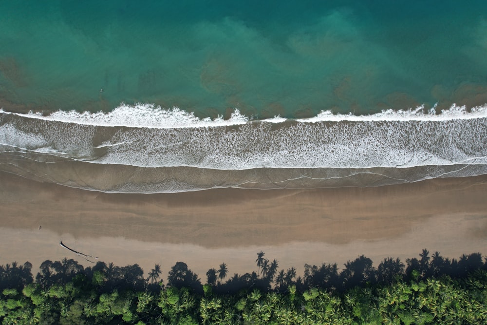 an aerial view of a sandy beach and ocean