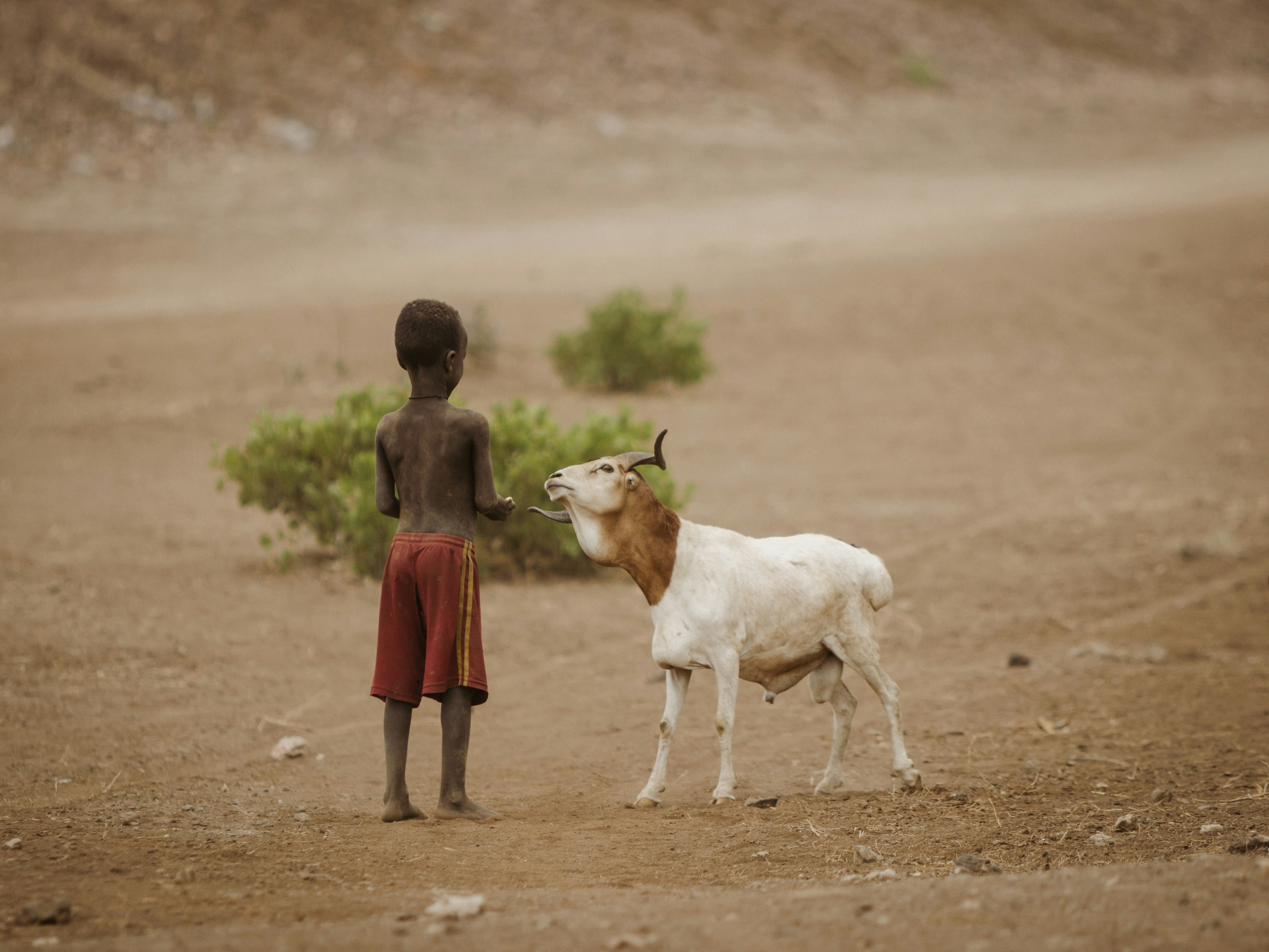 Photo by shoham_avisrur