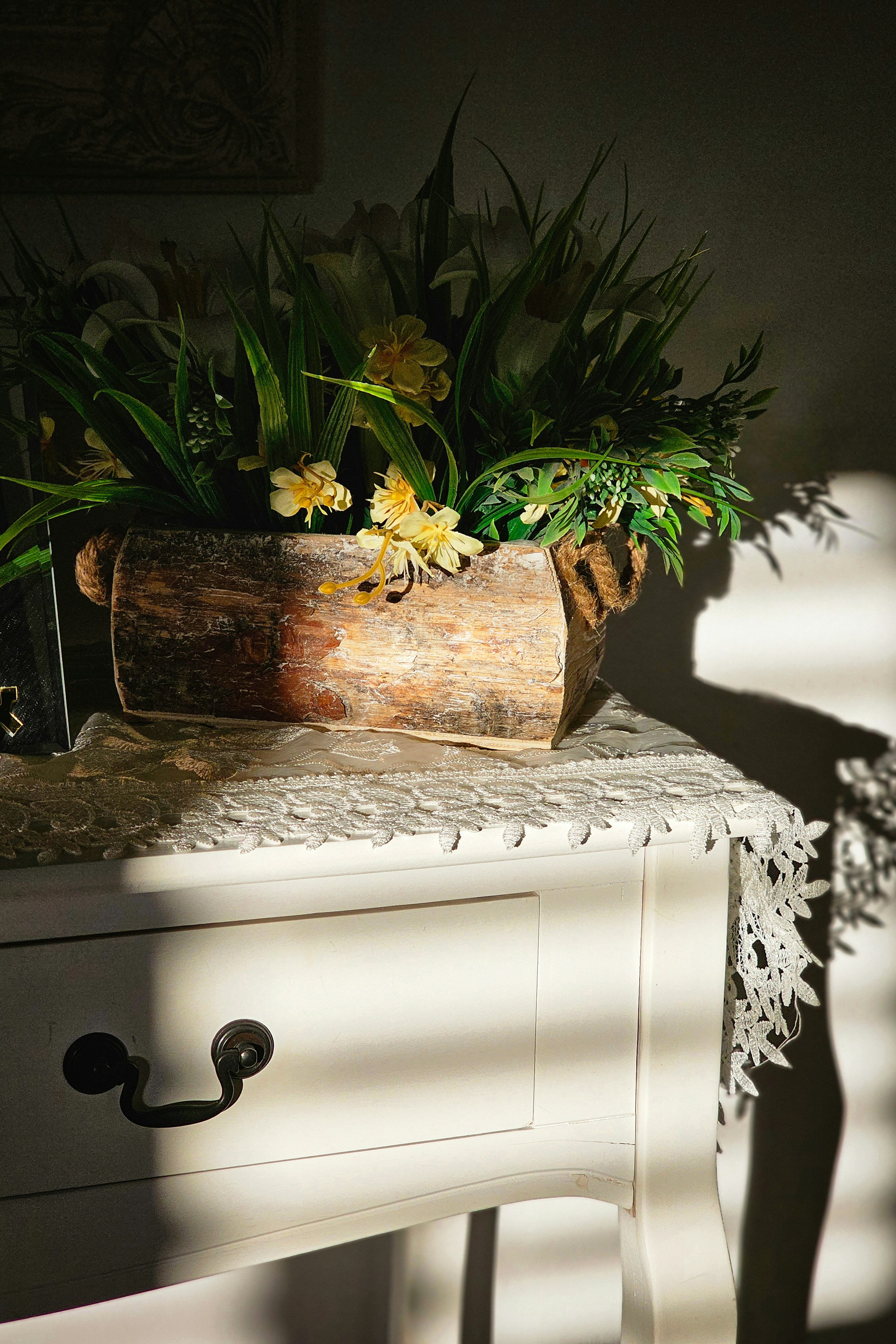 A potted plant sitting on top of a white table photo – Free Plant Image ...