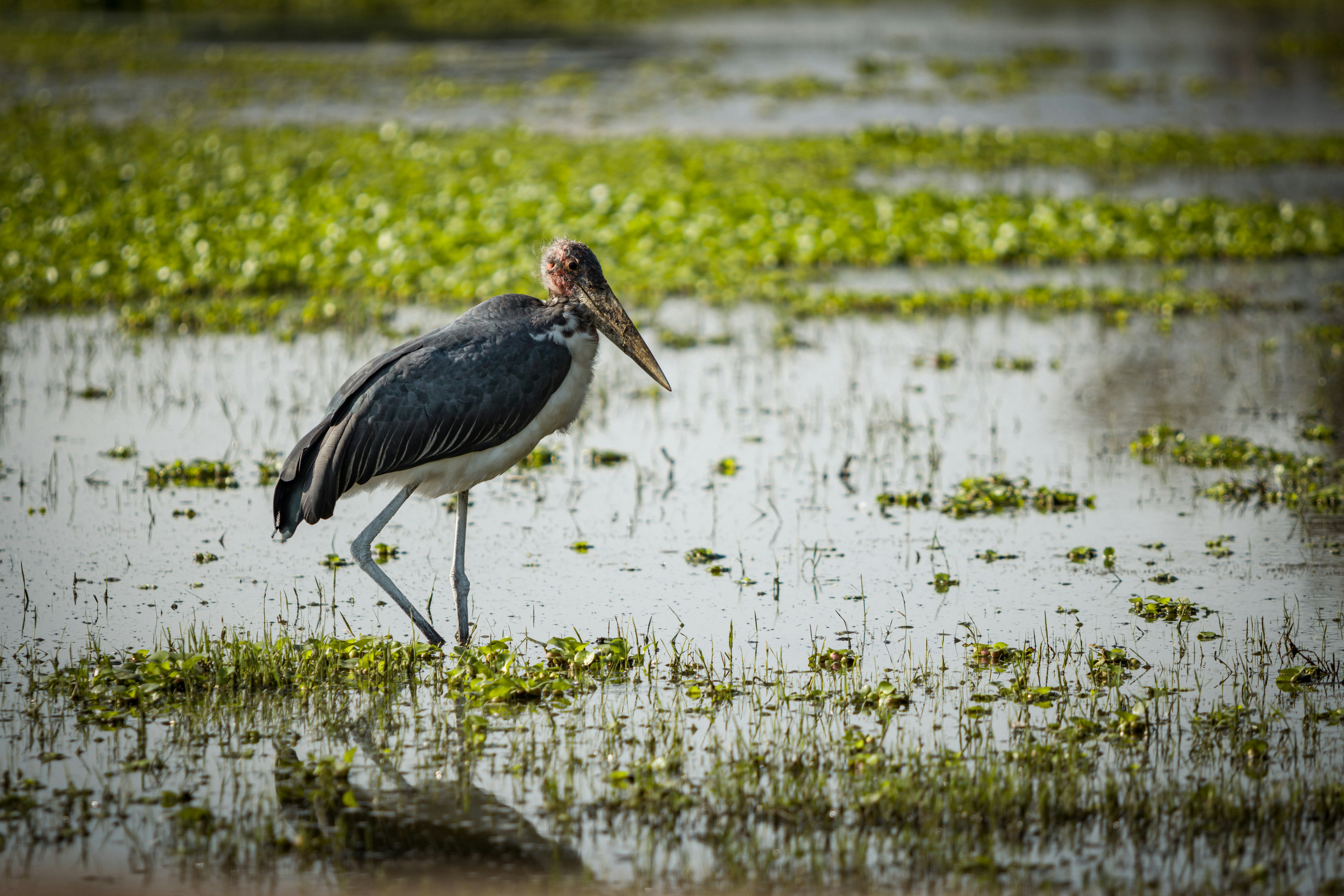 Photo by shoham_avisrur