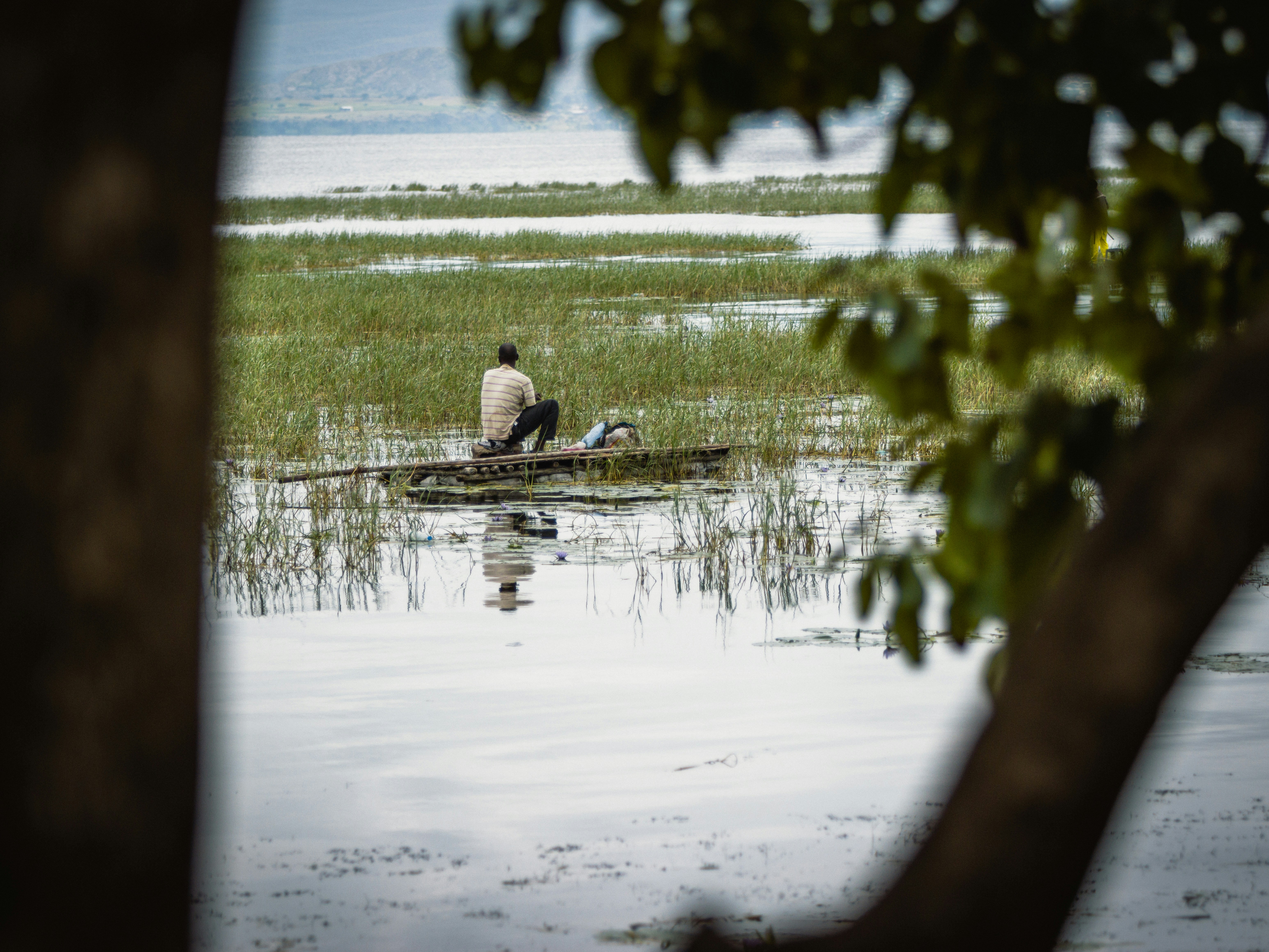 Photo by shoham_avisrur