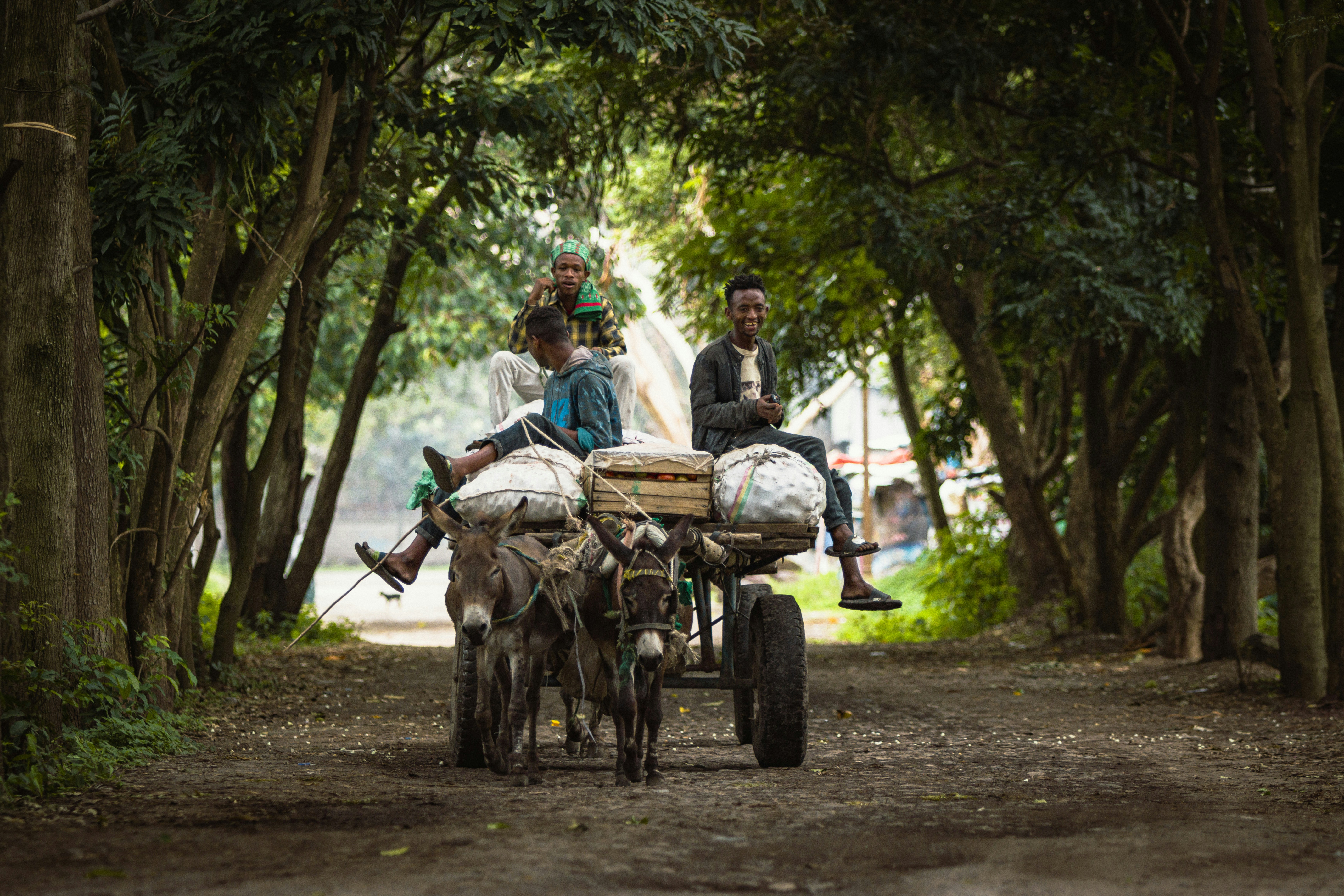 Photo by shoham_avisrur