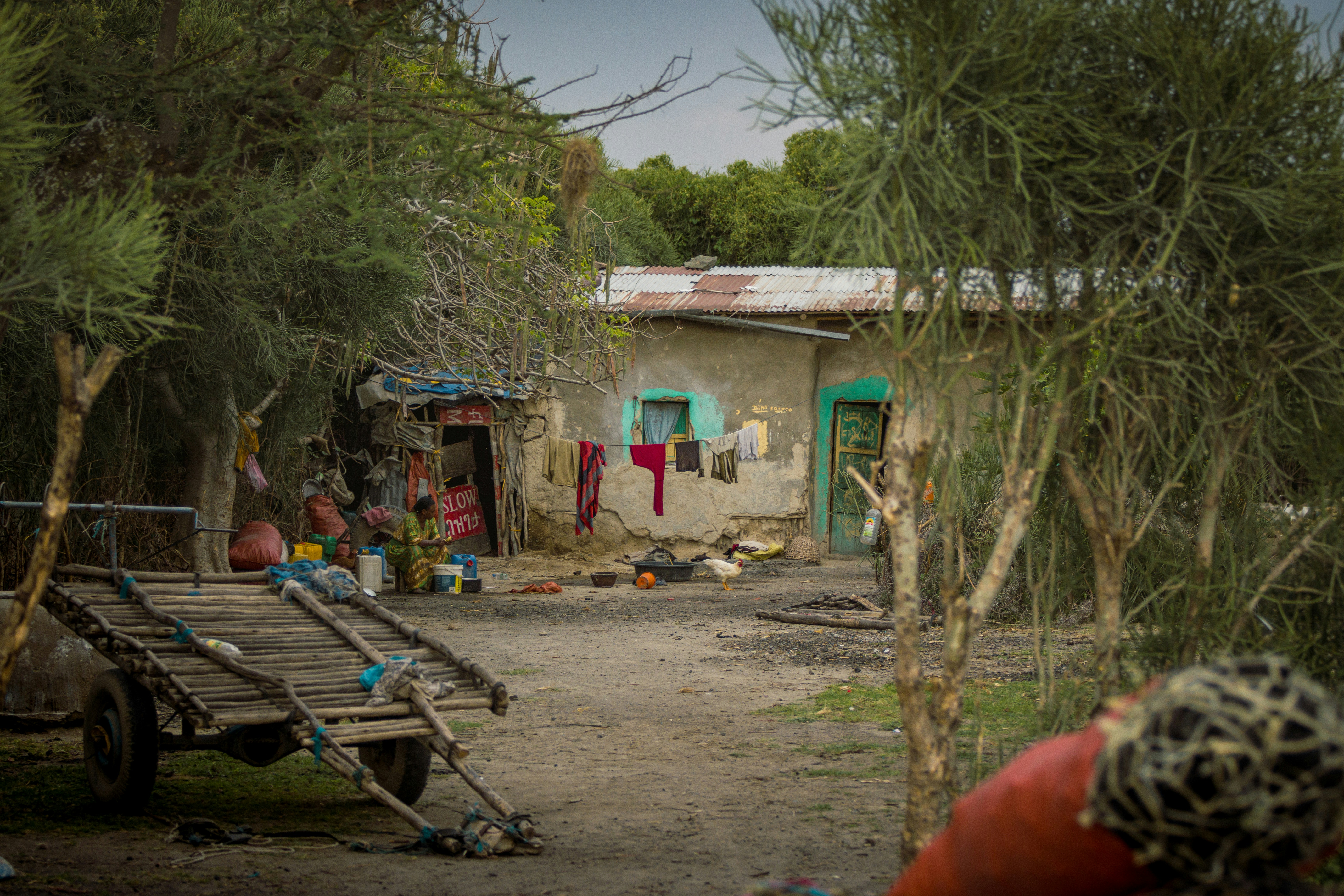 Photo by shoham_avisrur