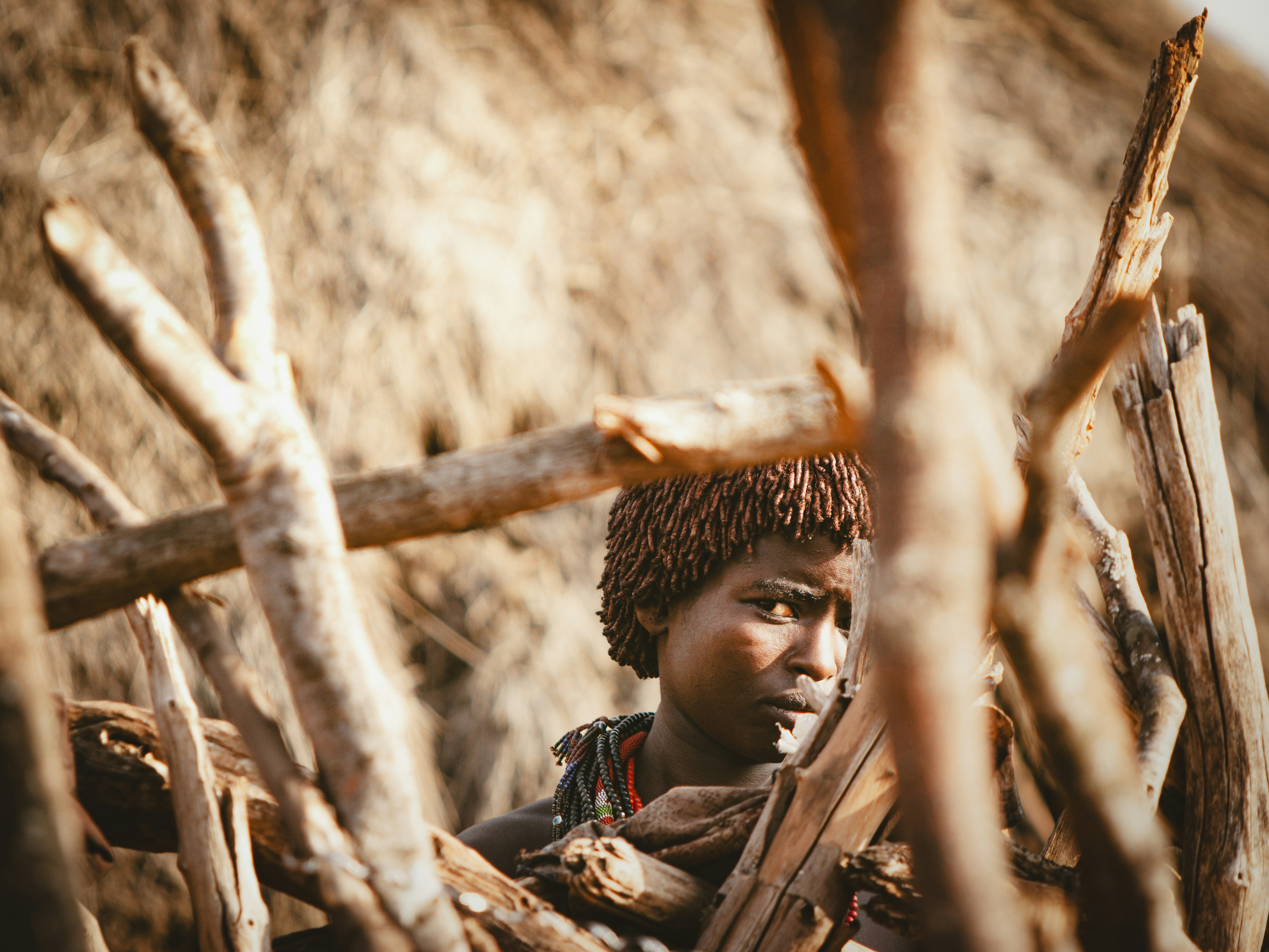 Photo by shoham_avisrur