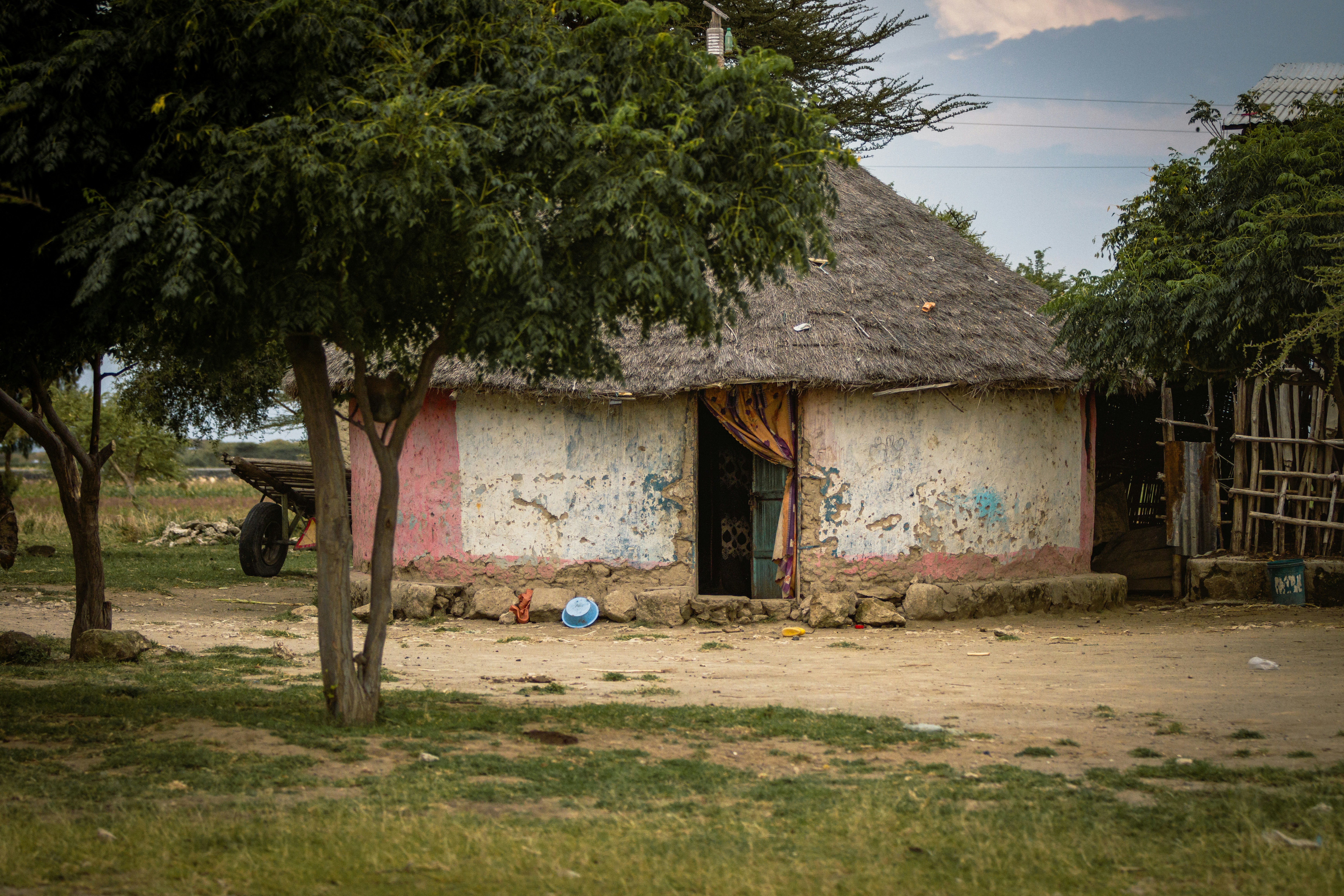 Photo by shoham_avisrur