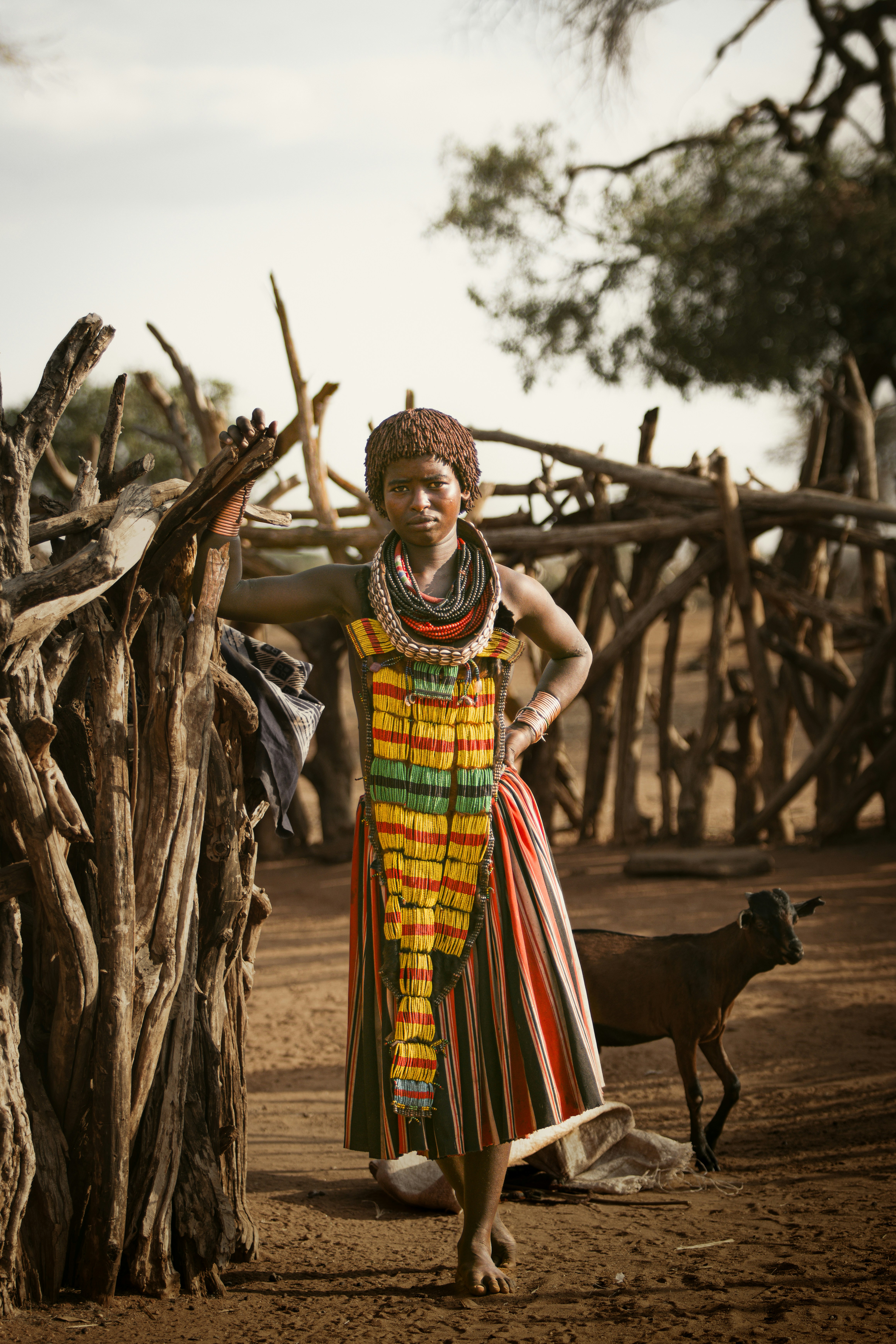 Photo by shoham_avisrur