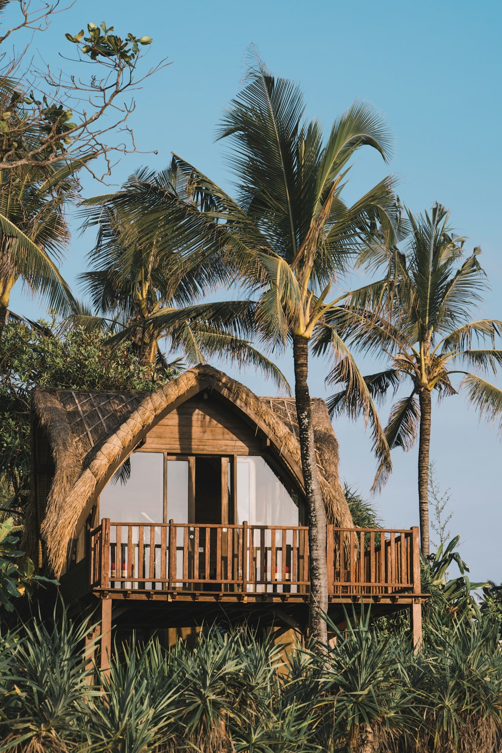 a house with a thatched roof surrounded by palm trees